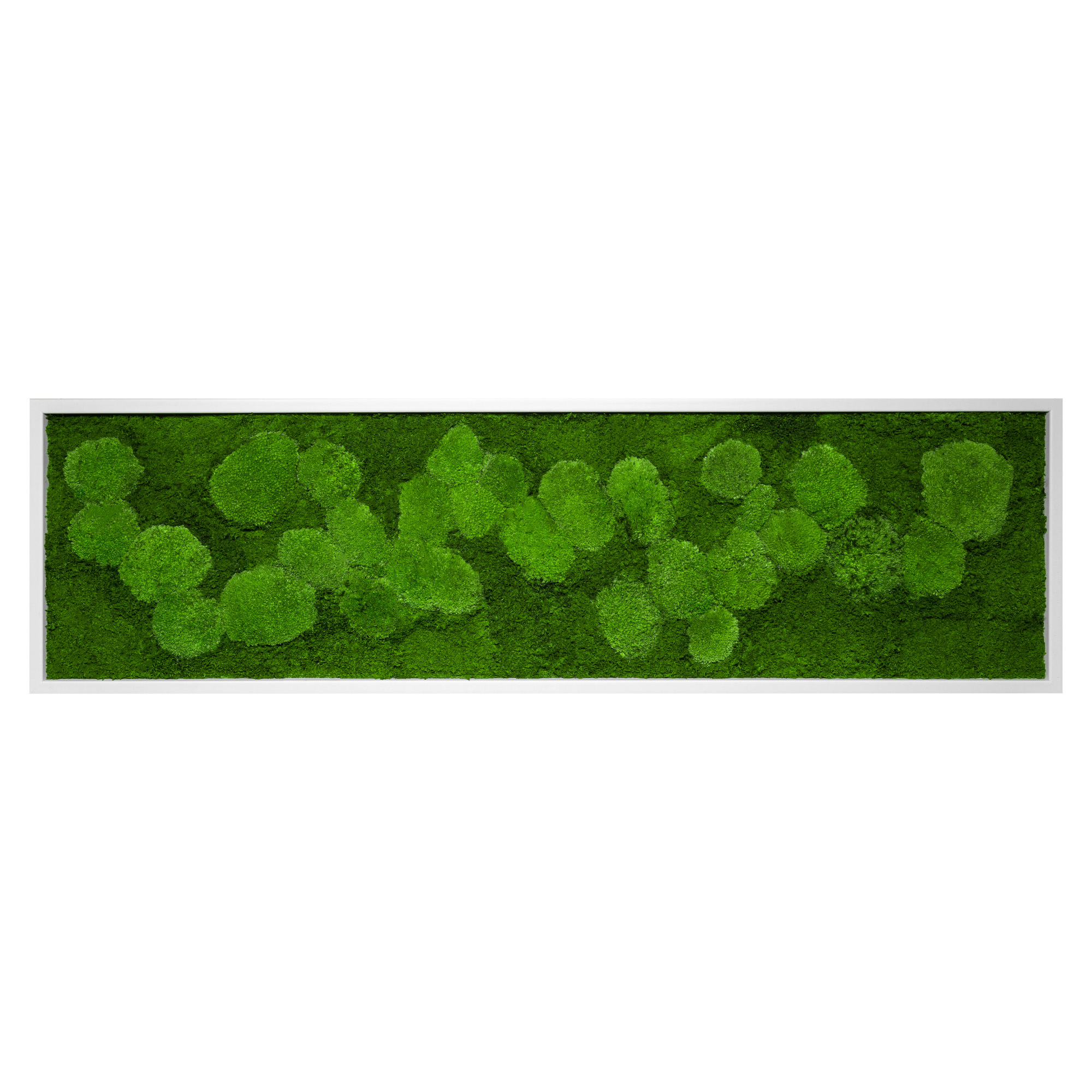 140x40_fif_wei_1