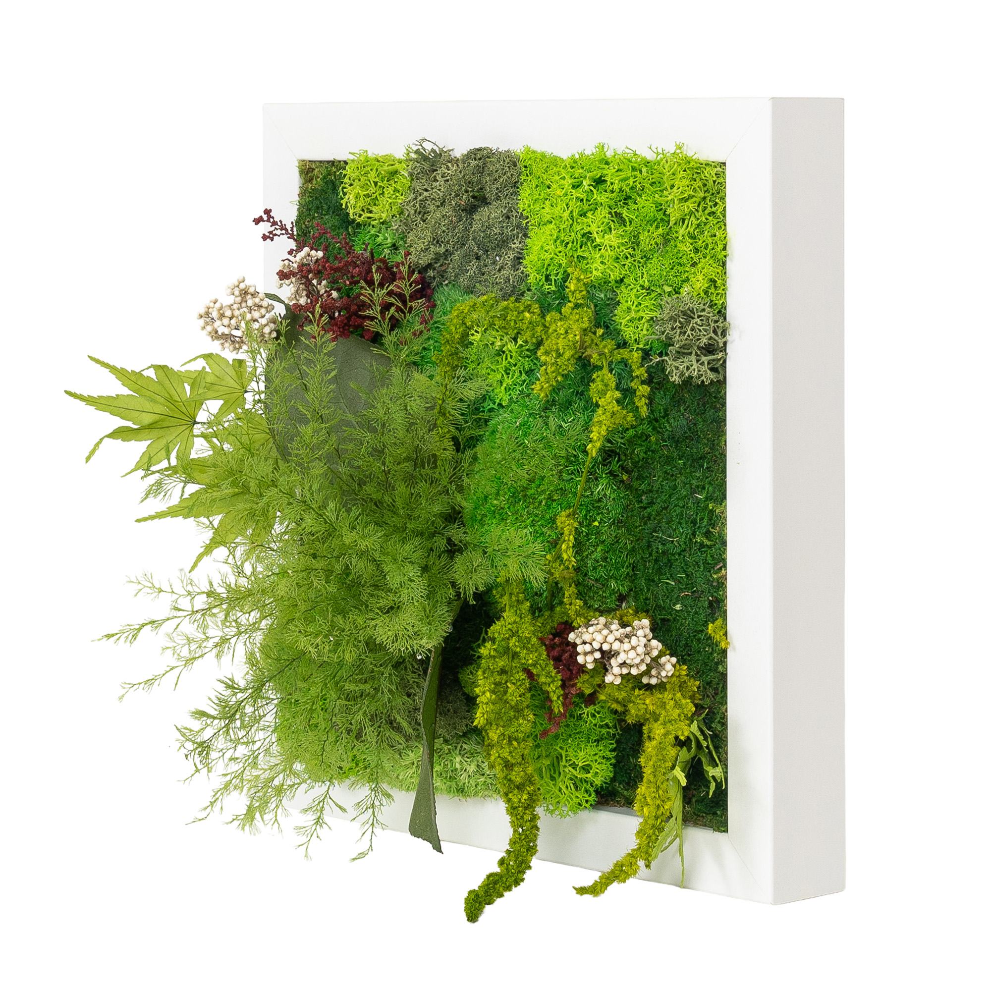 Moosbild Dschungel Design (25x25, weiß)
