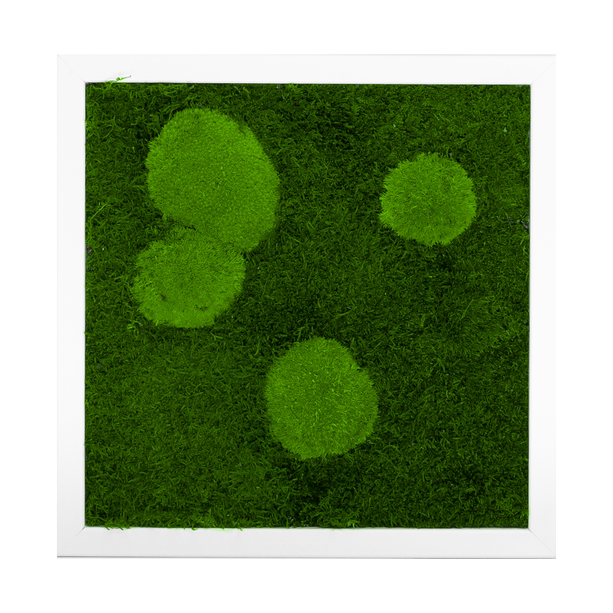 Moosbild Forest Design (25x25, weiß)