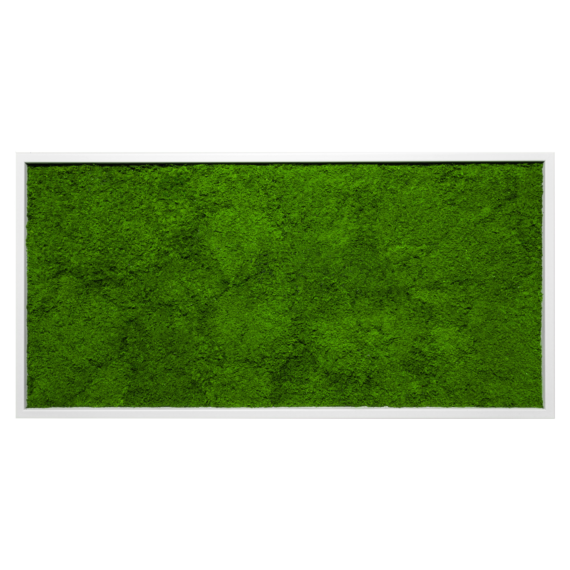 110x55_fla_wei_1