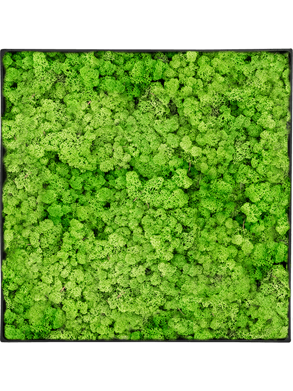 Moss Painting (5)