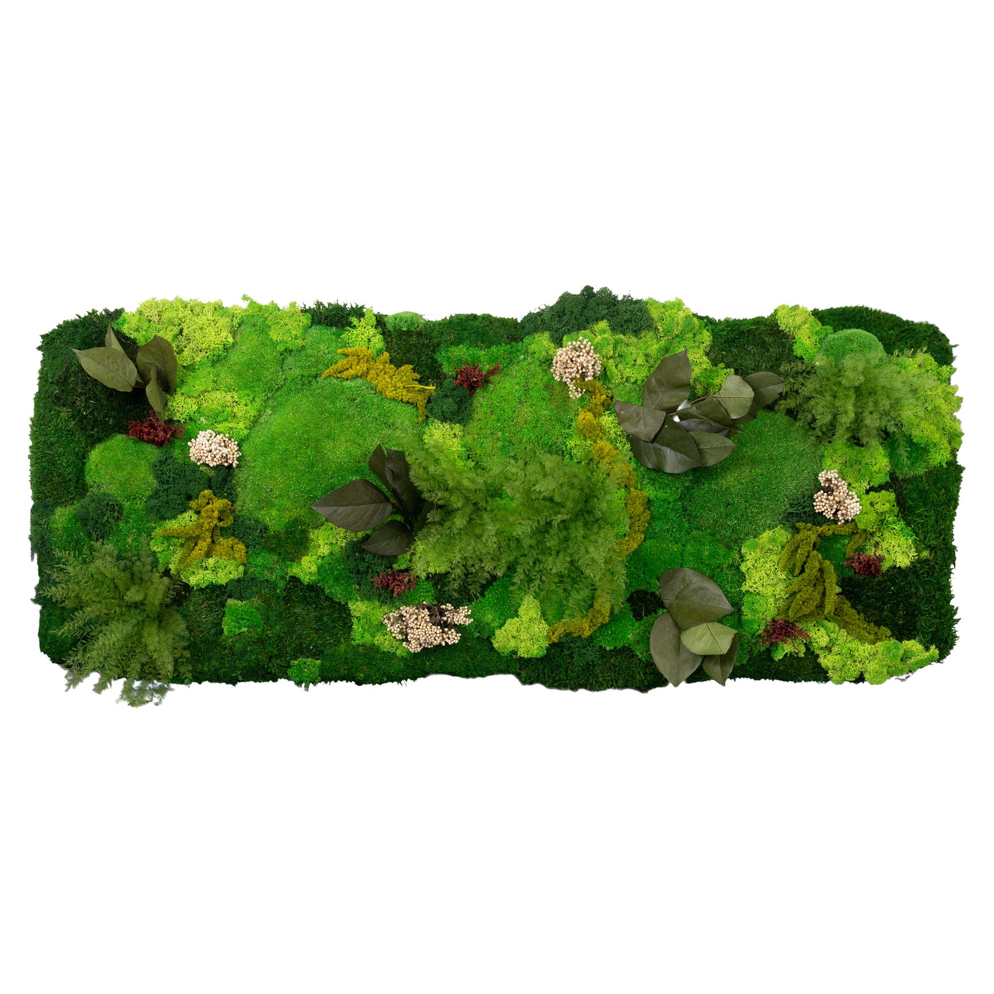 1-100x35-DSC-ORI_2