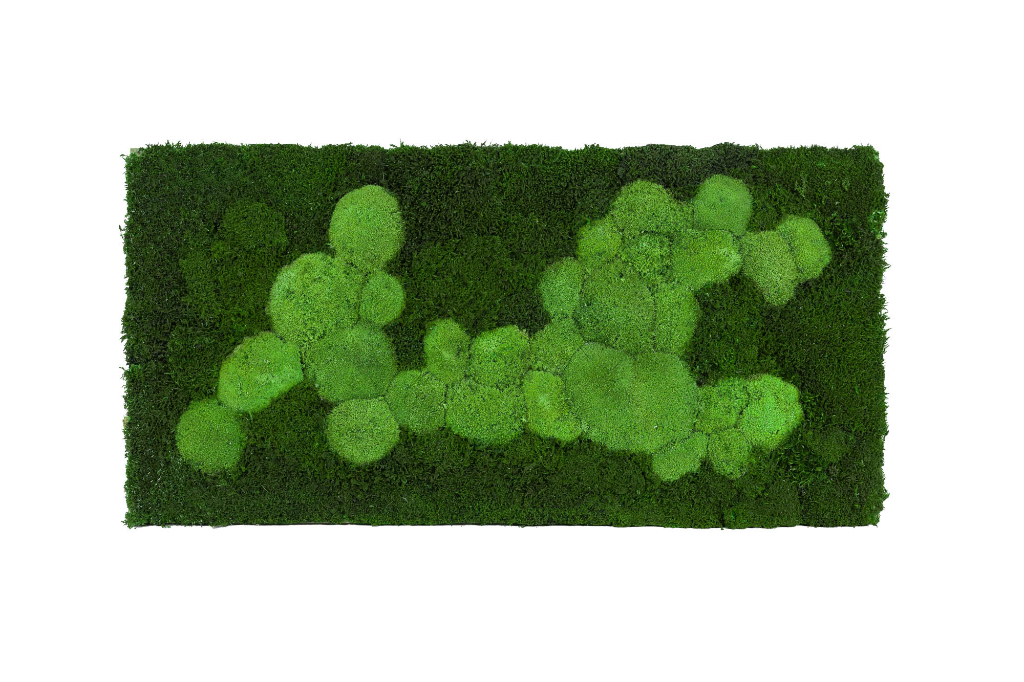 5_RET_1_100x50-FIF-MDF