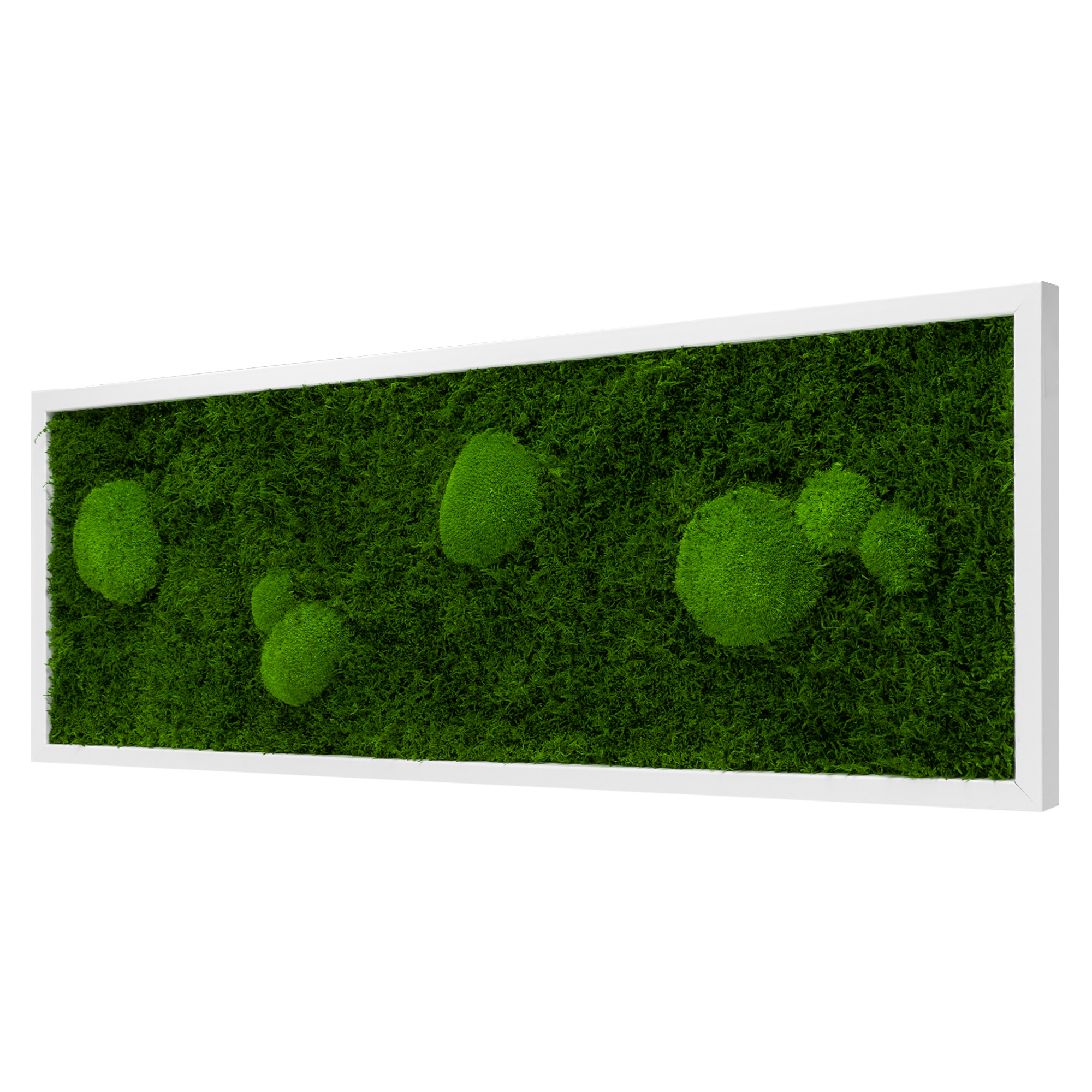 FOR_100x35W_