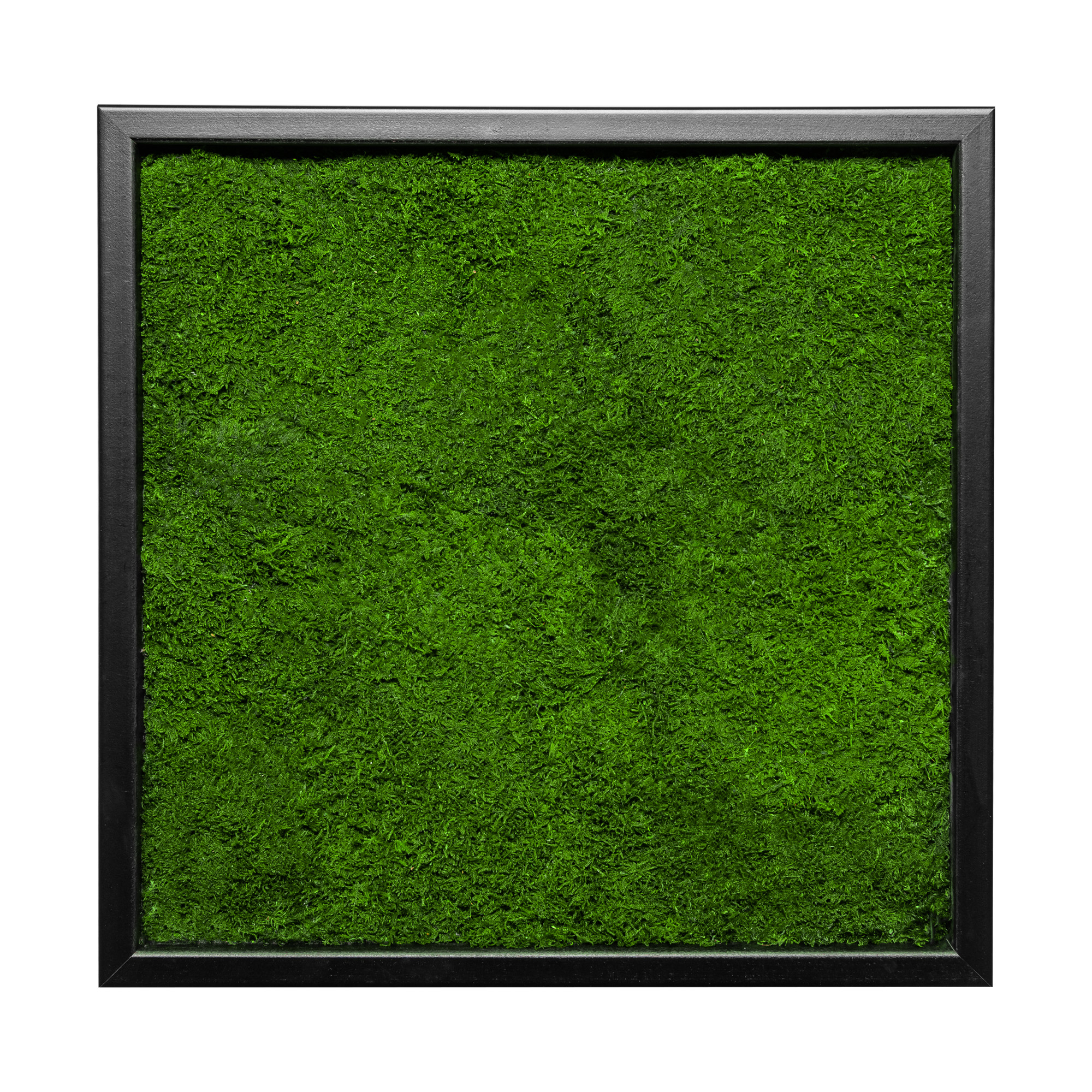 35x35_45x45_55x55_fla_sch_1