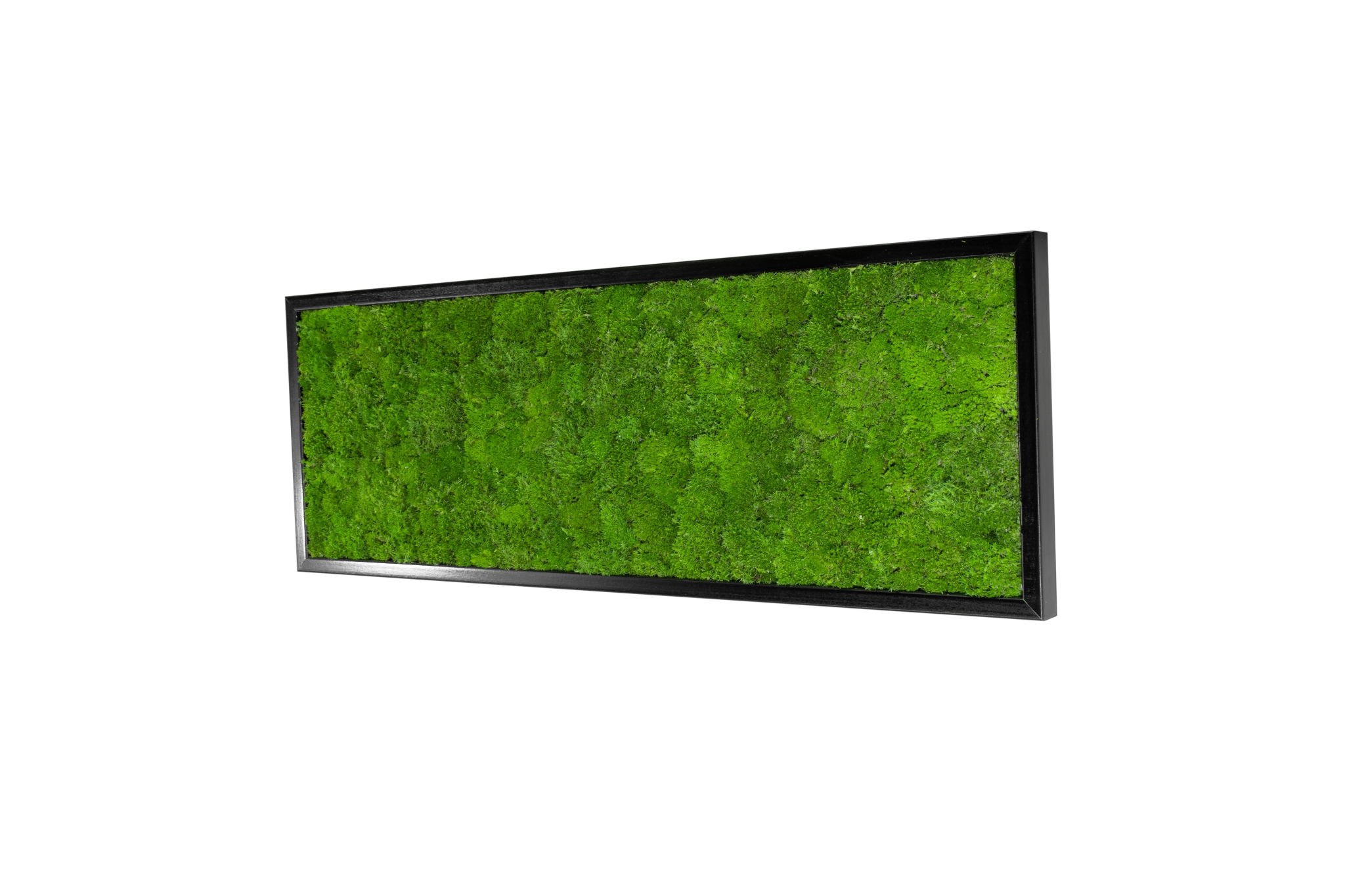 Moosbild Wave Design schwarzer Rahmen 100x35 cm