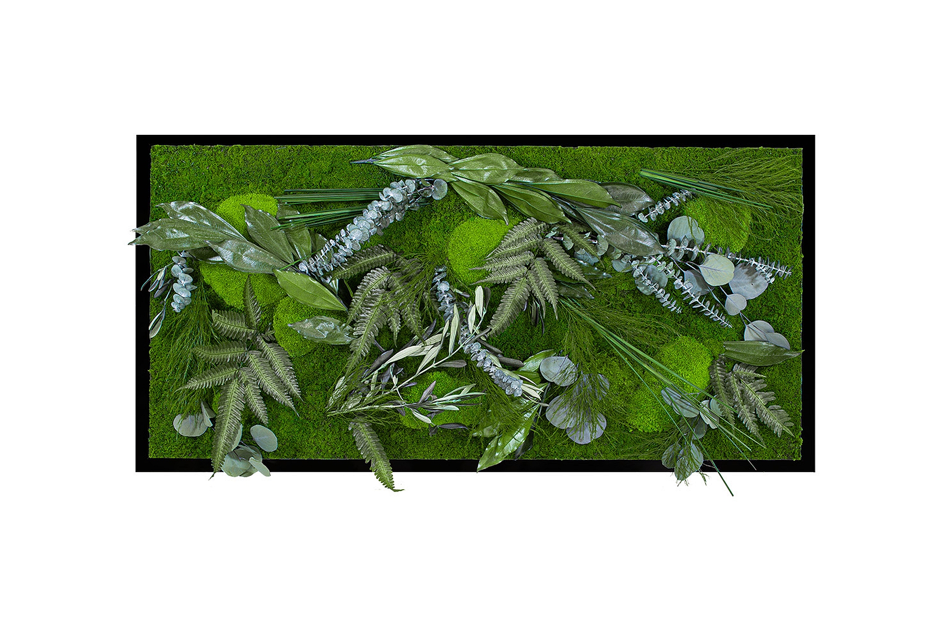Dschungel110x55_schwarzer_rahmen