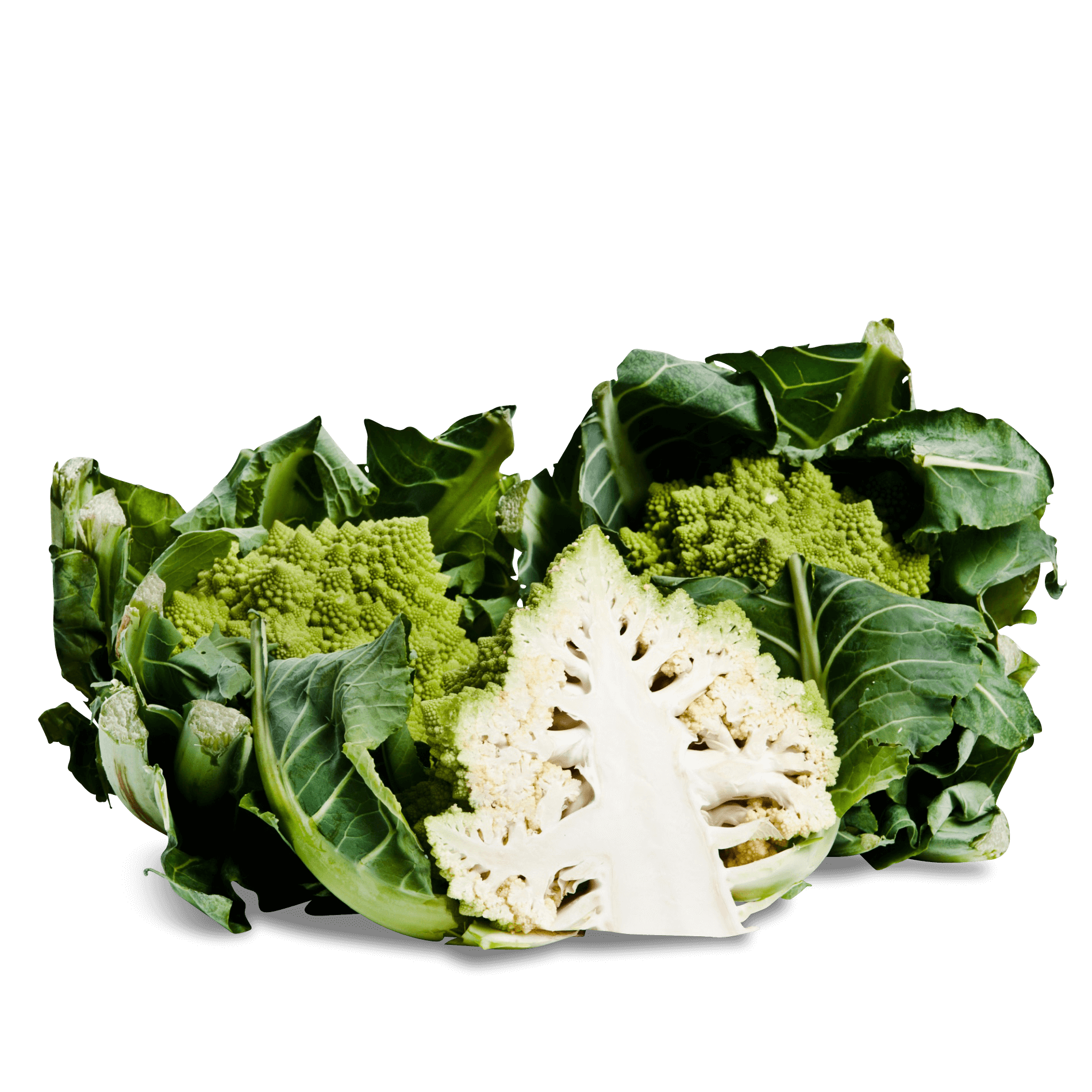 Romanesco