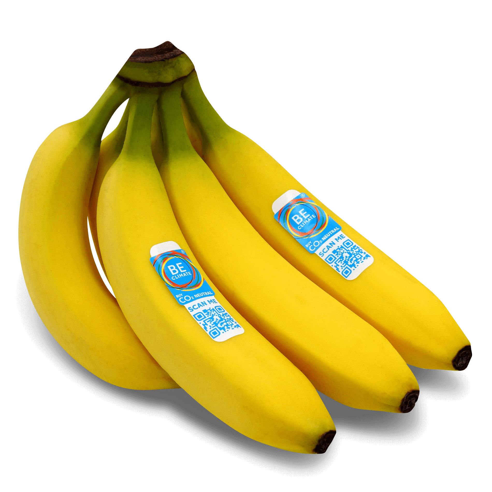 Bio Bananen 'aus nachhaltigem Handel'