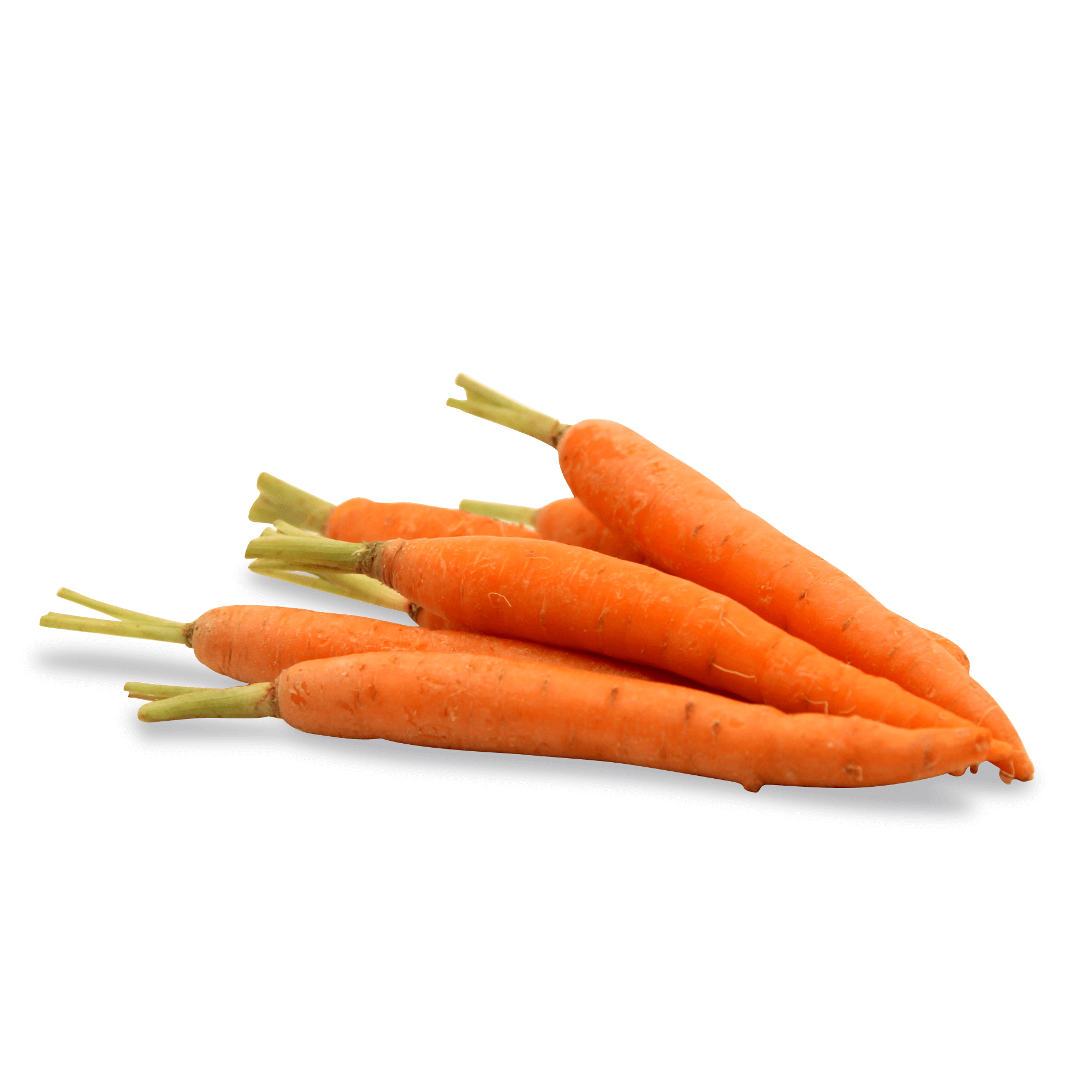 Mini Karotten 'orange'