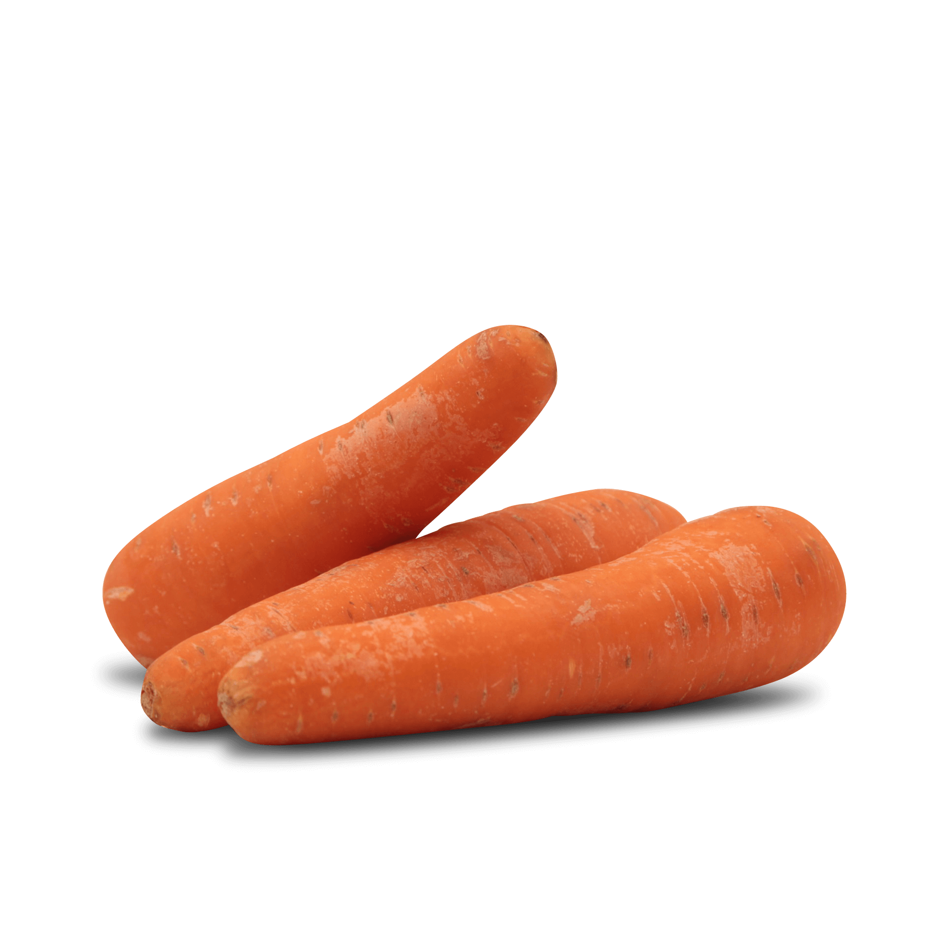 Karotten 'dick'