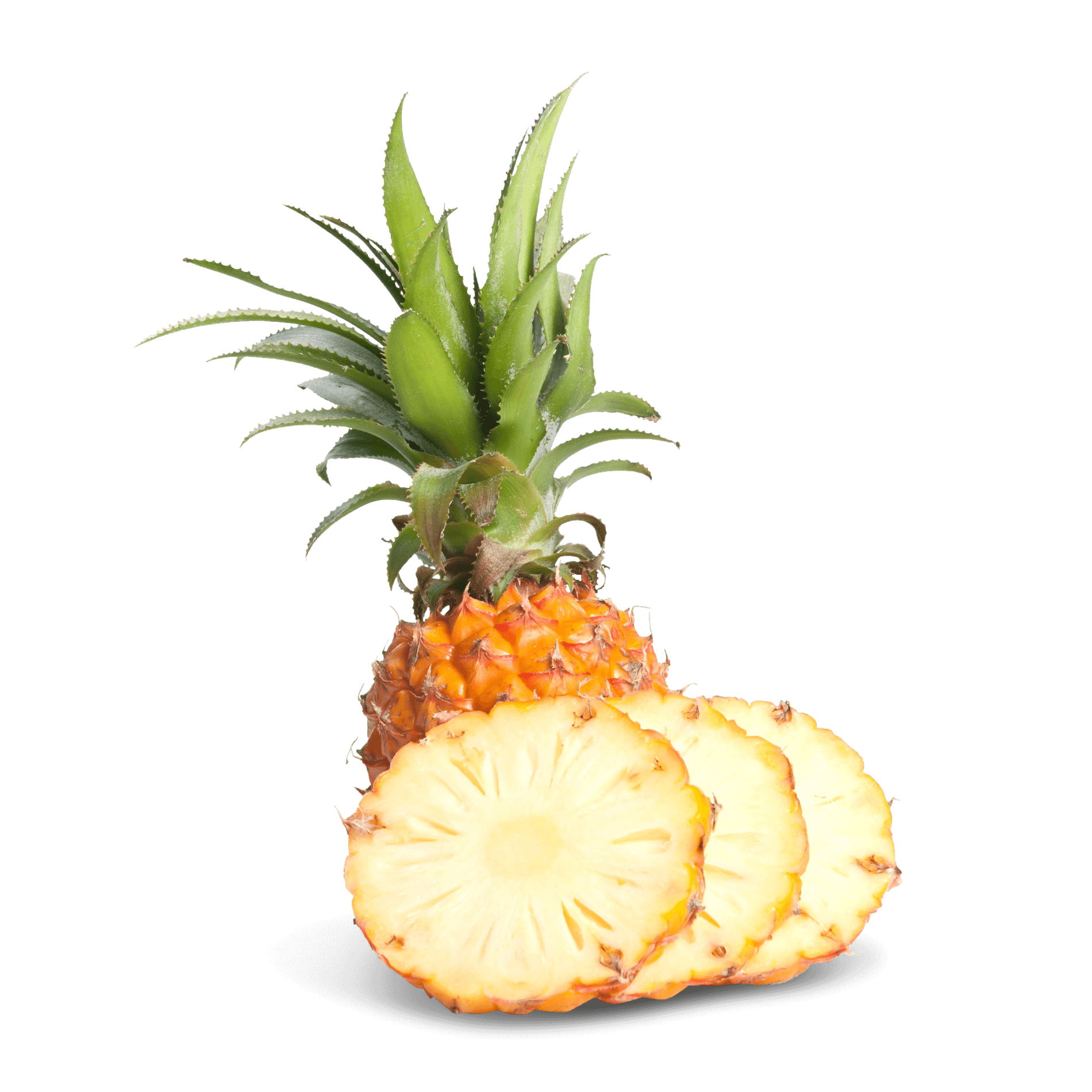 Ananas 'Mini'