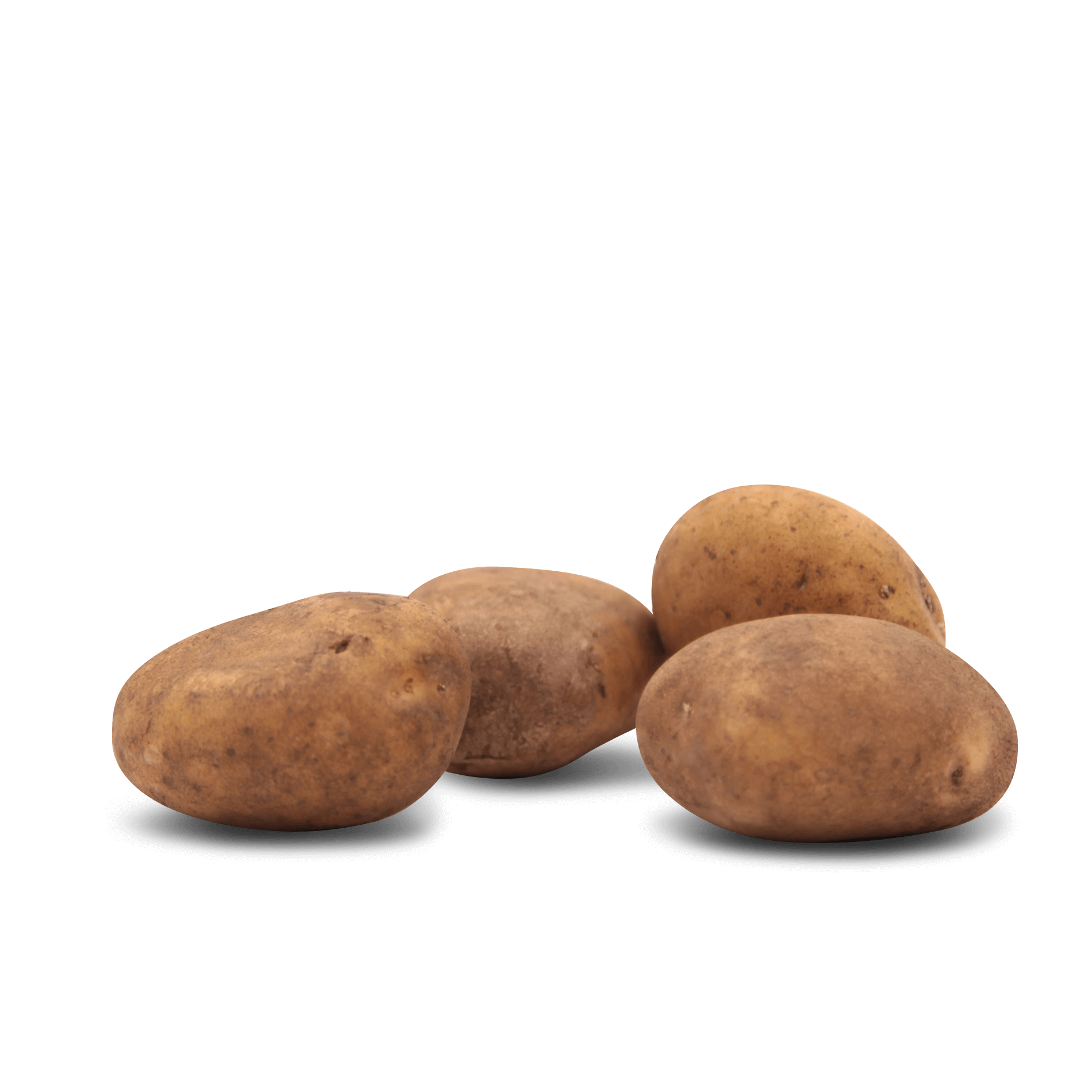 Kartoffel 'übergroß' (festkochend)