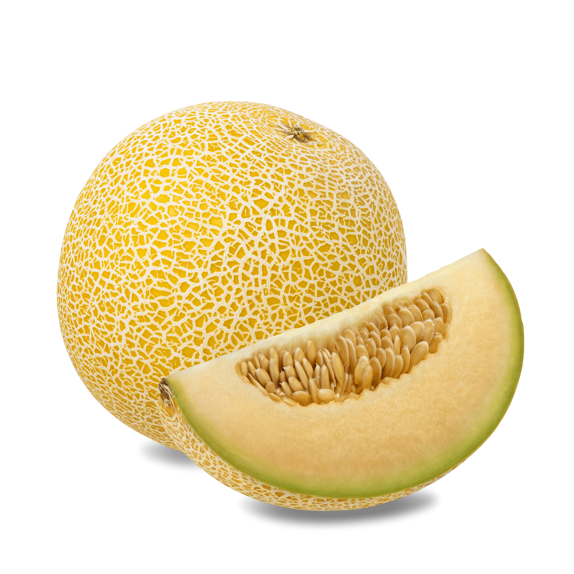 Melone 'Galia'