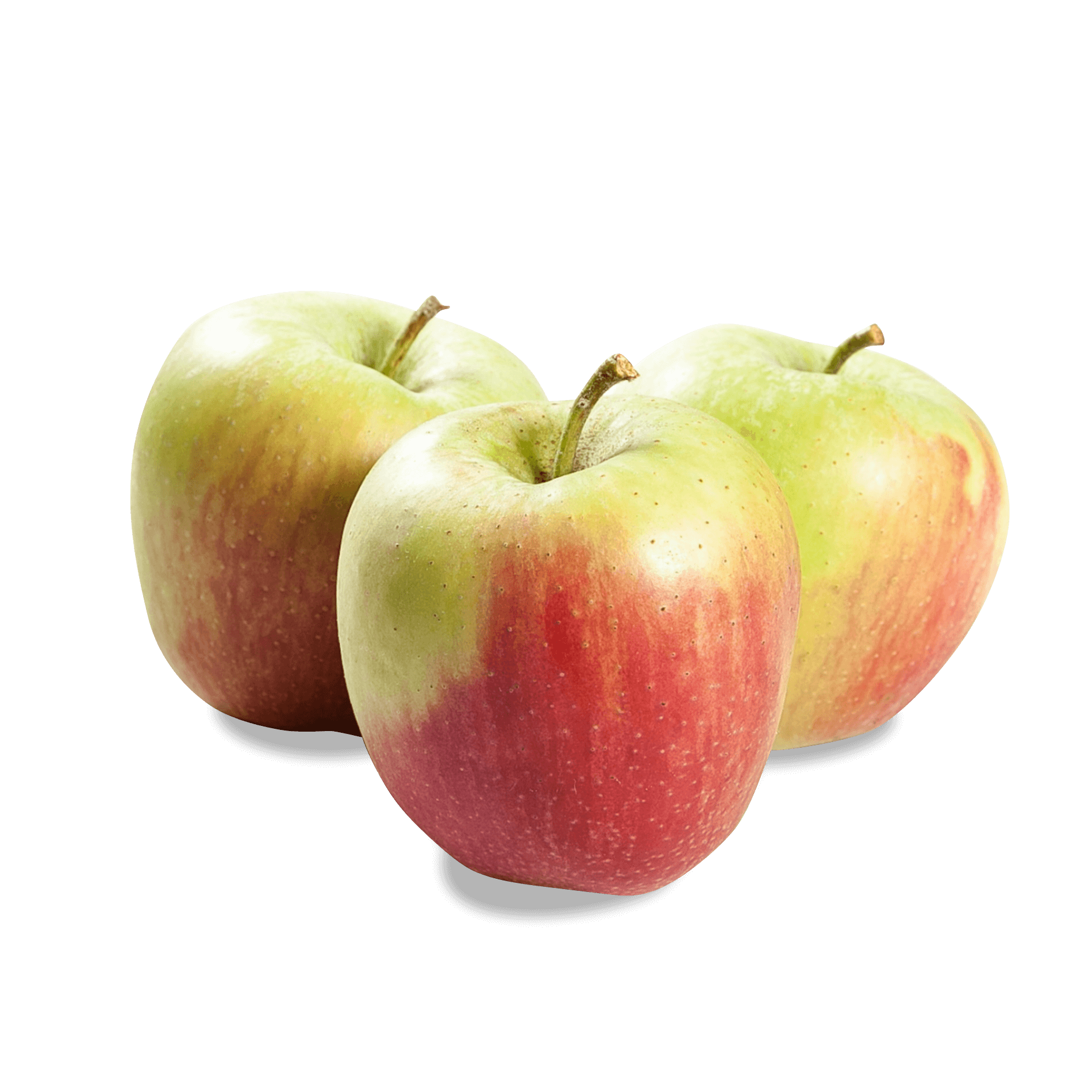 Apfel 'Delba Esteval'