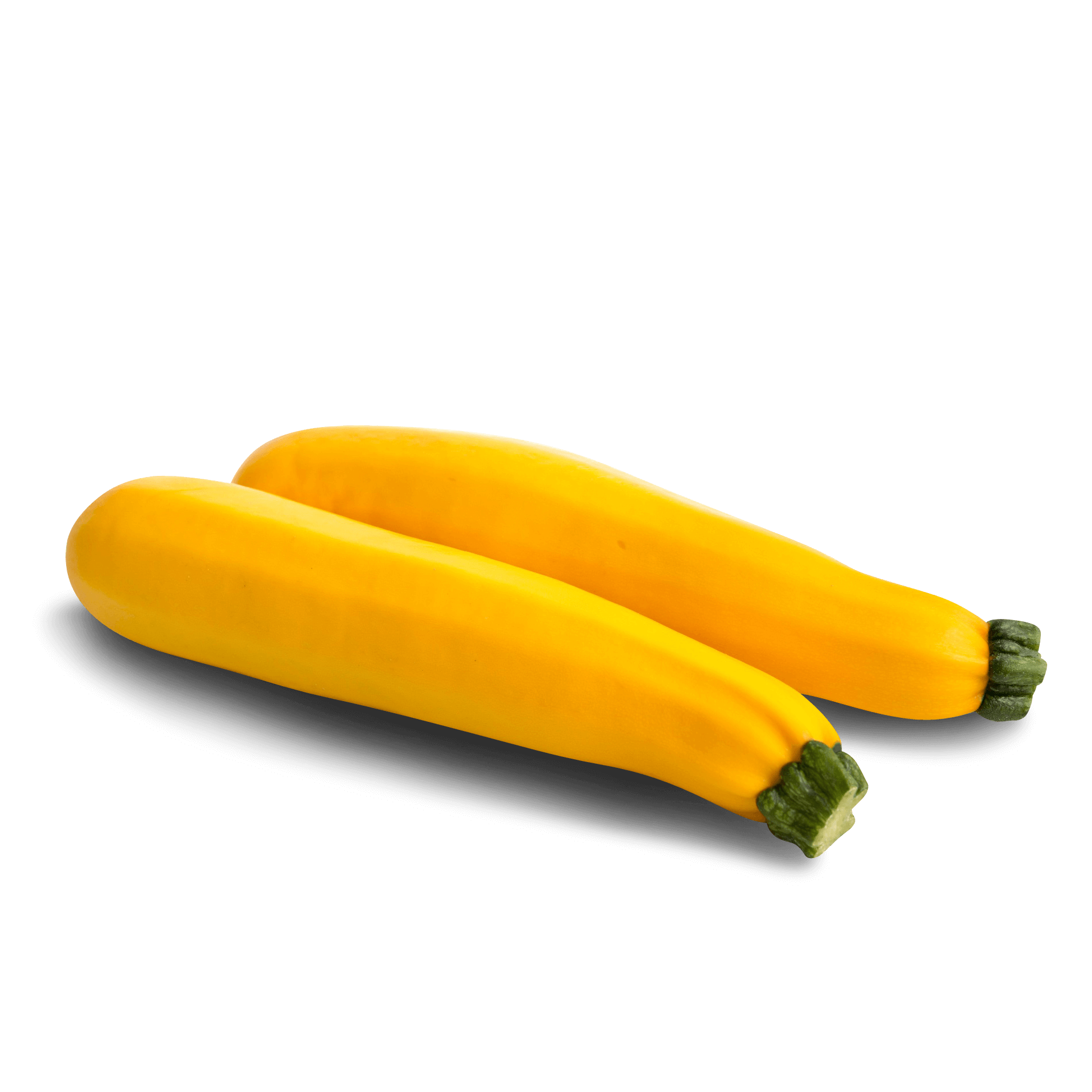 Zucchini 'gelb'