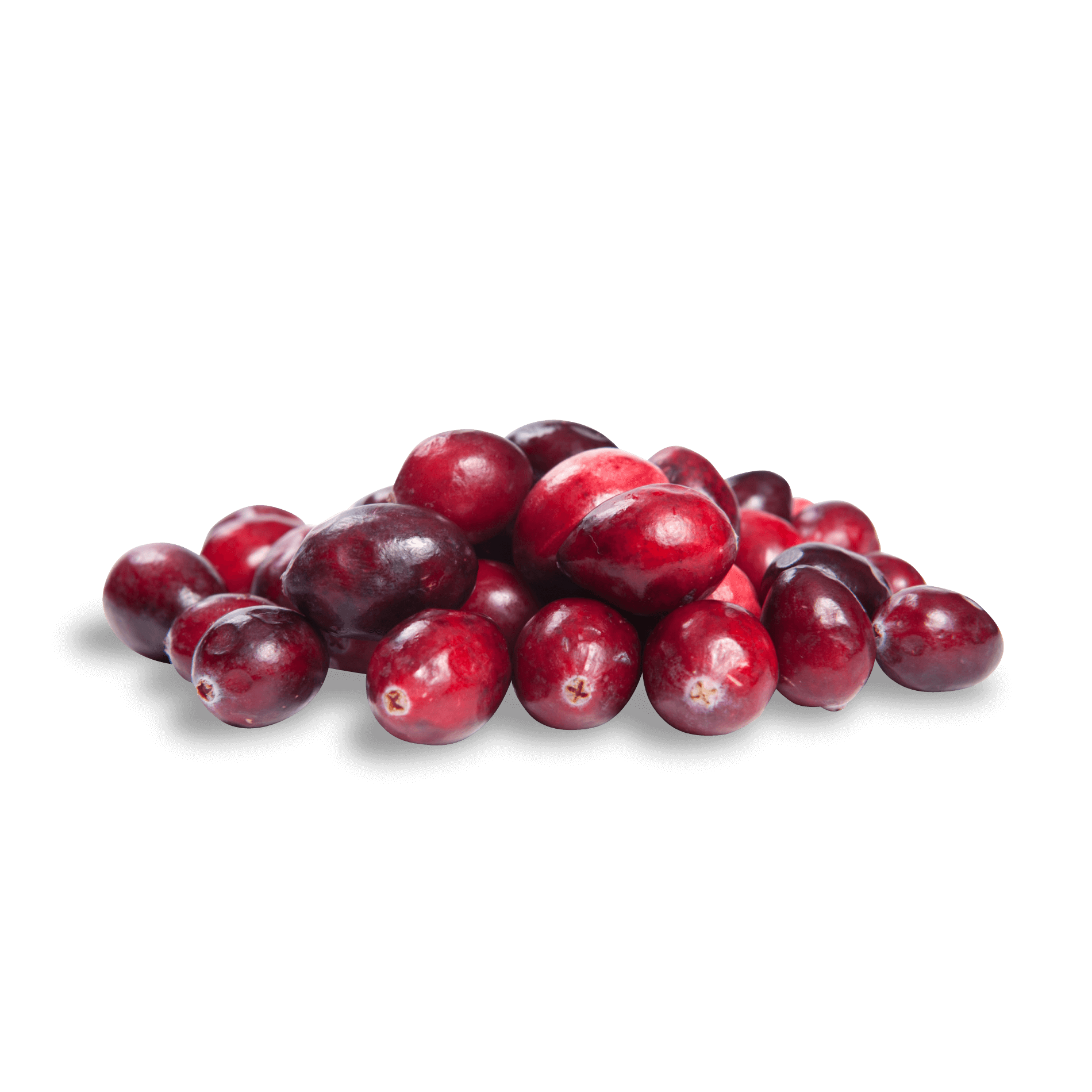 Frische Cranberries