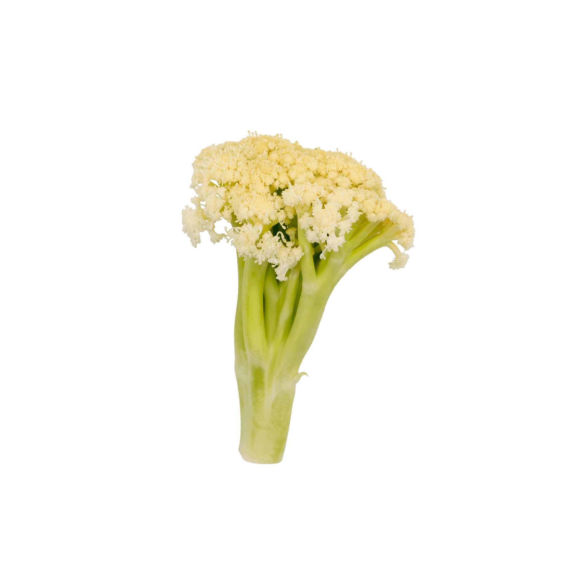 Wilder Blumenkohl