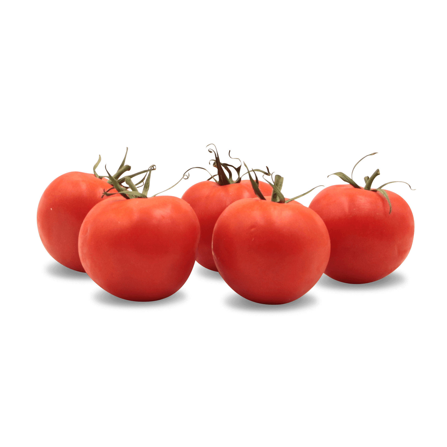 Tomaten 'Vierländer Runde'