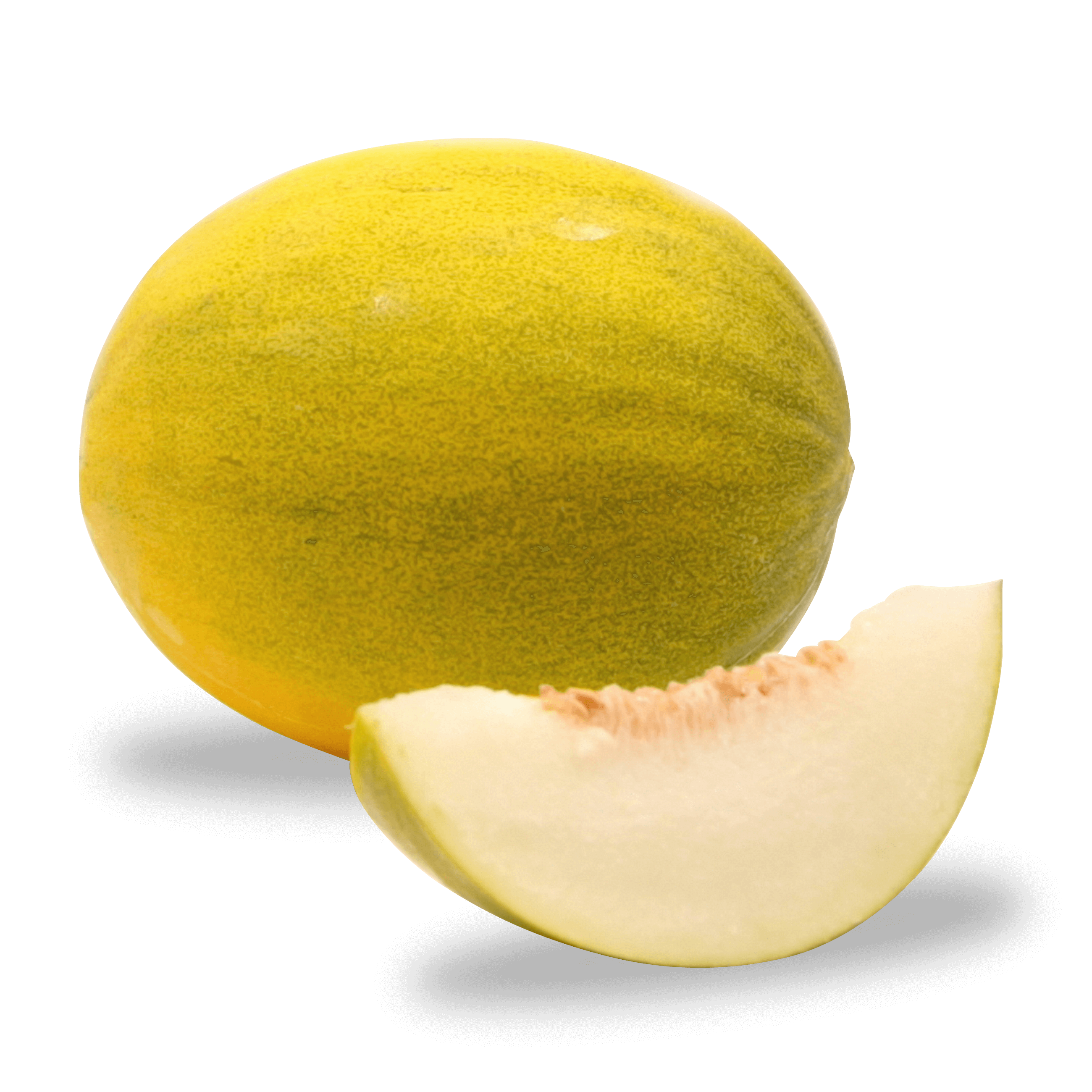 Melone 'Li-Melone'