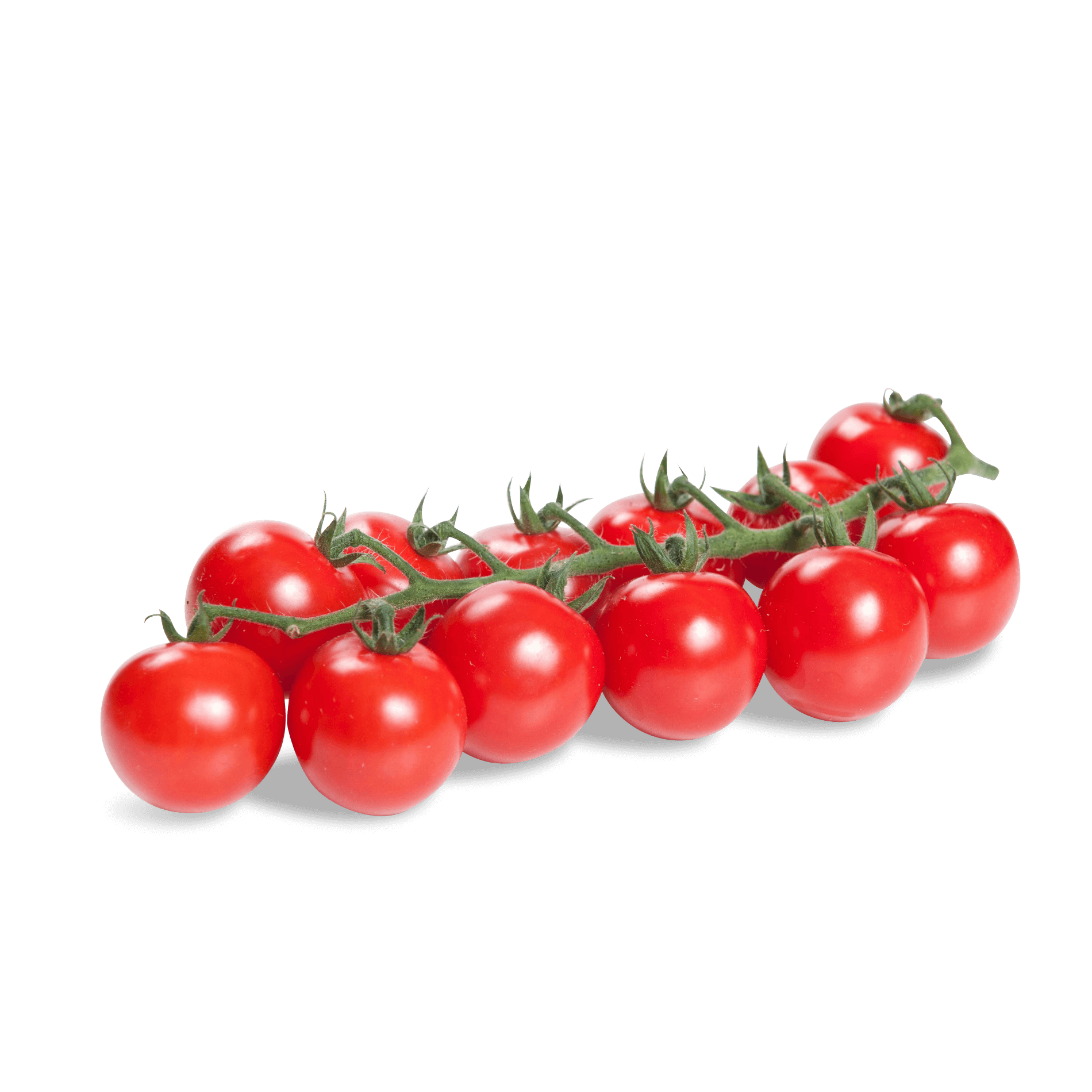 Tomaten Cherry am Strauch 'Amor'