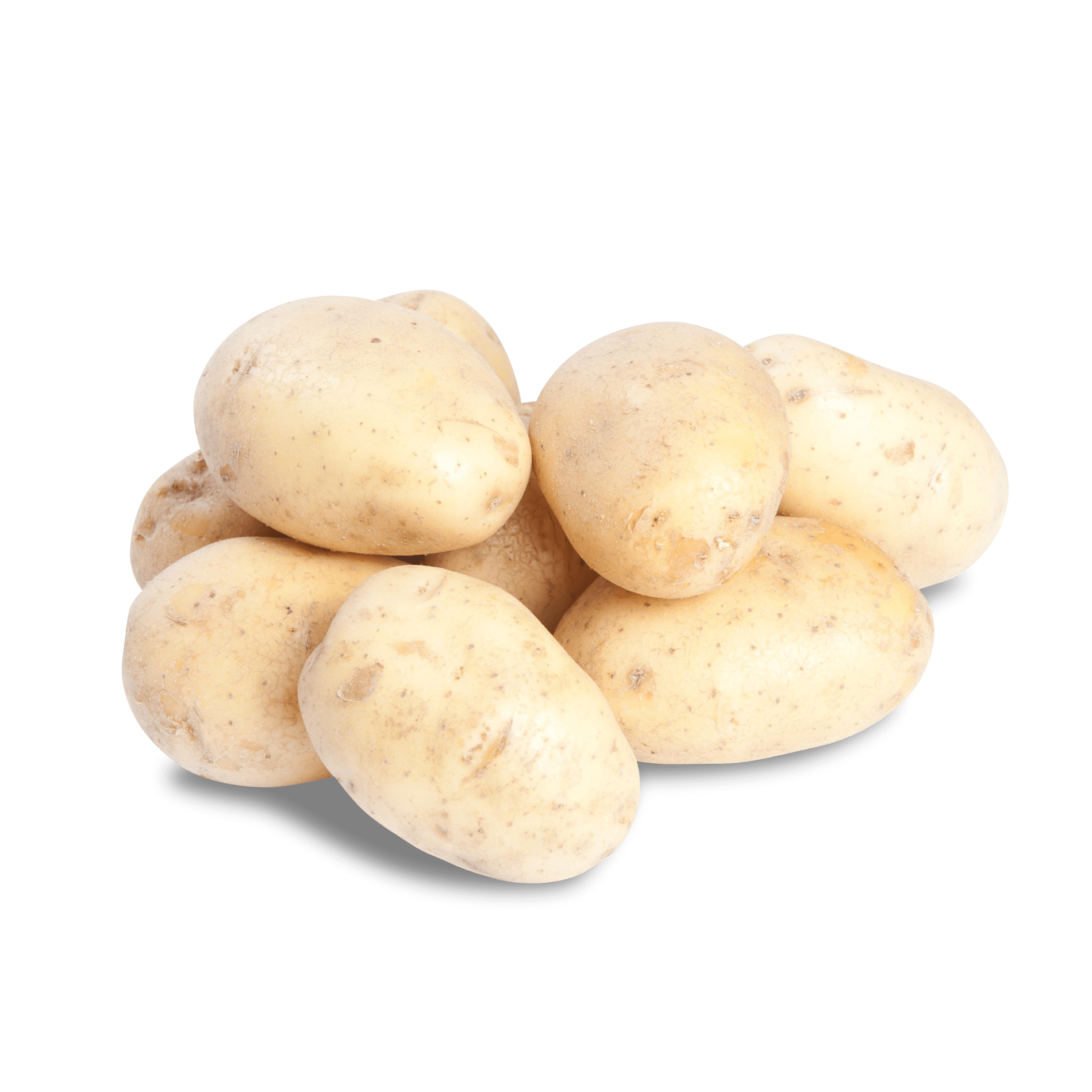 Kartoffel 'Bintje' (mehligkochend)