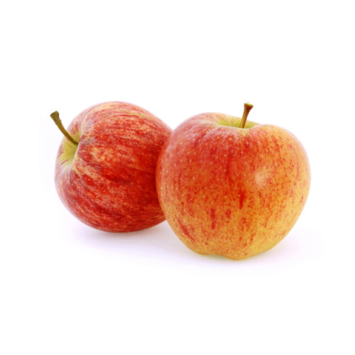 Apfelsorten: - Finkenwerder Herbstprinz, Rubinette, Topaz, Rubens, Cox Orange, Berlepsch