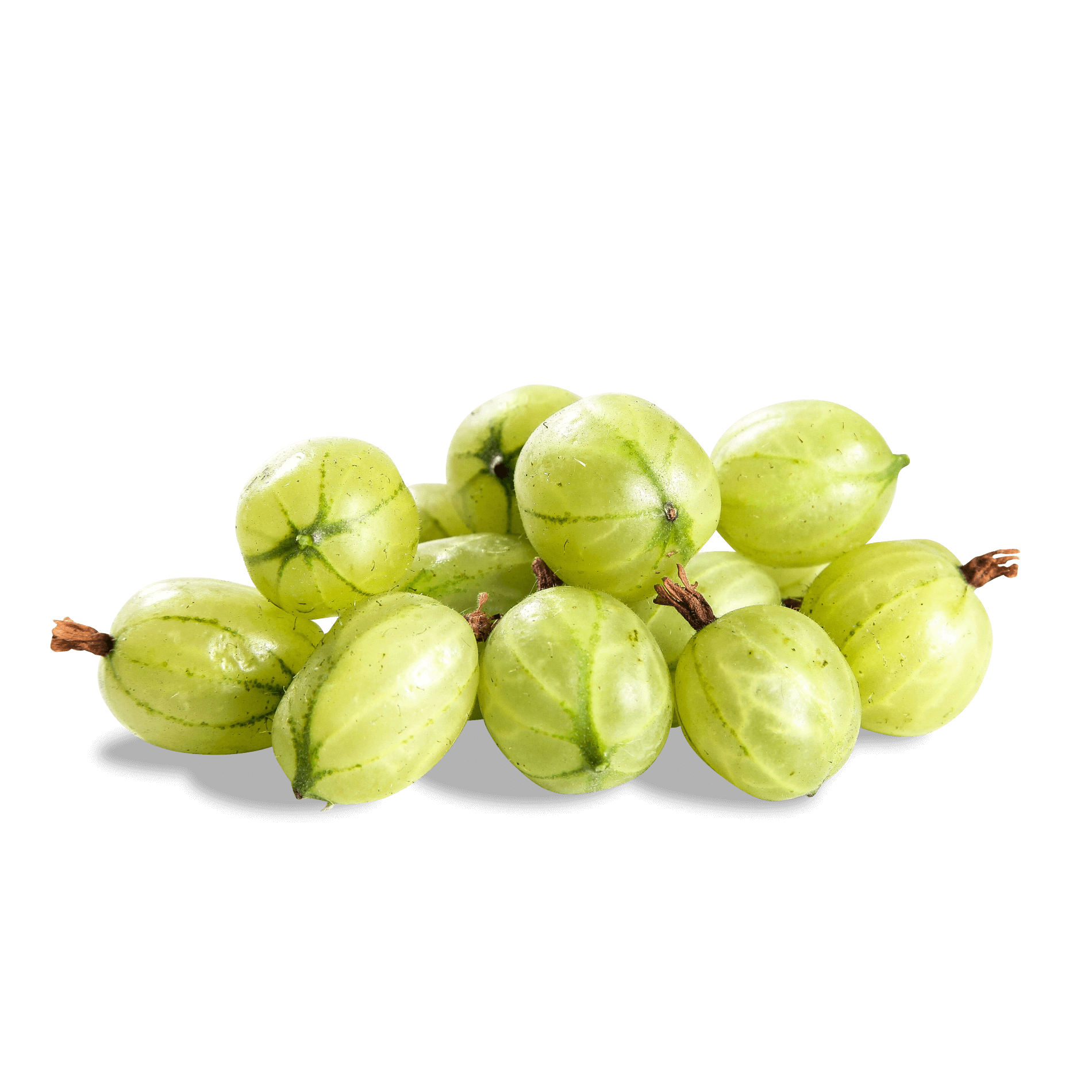 Stachelbeere 'grün'