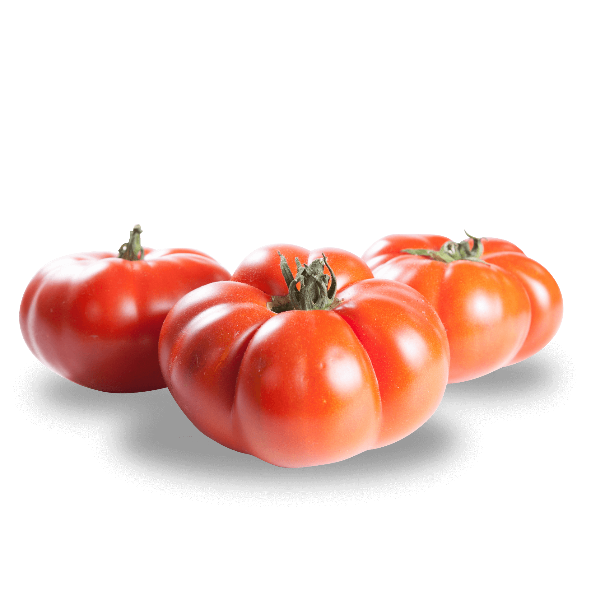 Tomaten 'Vierländer Platte'