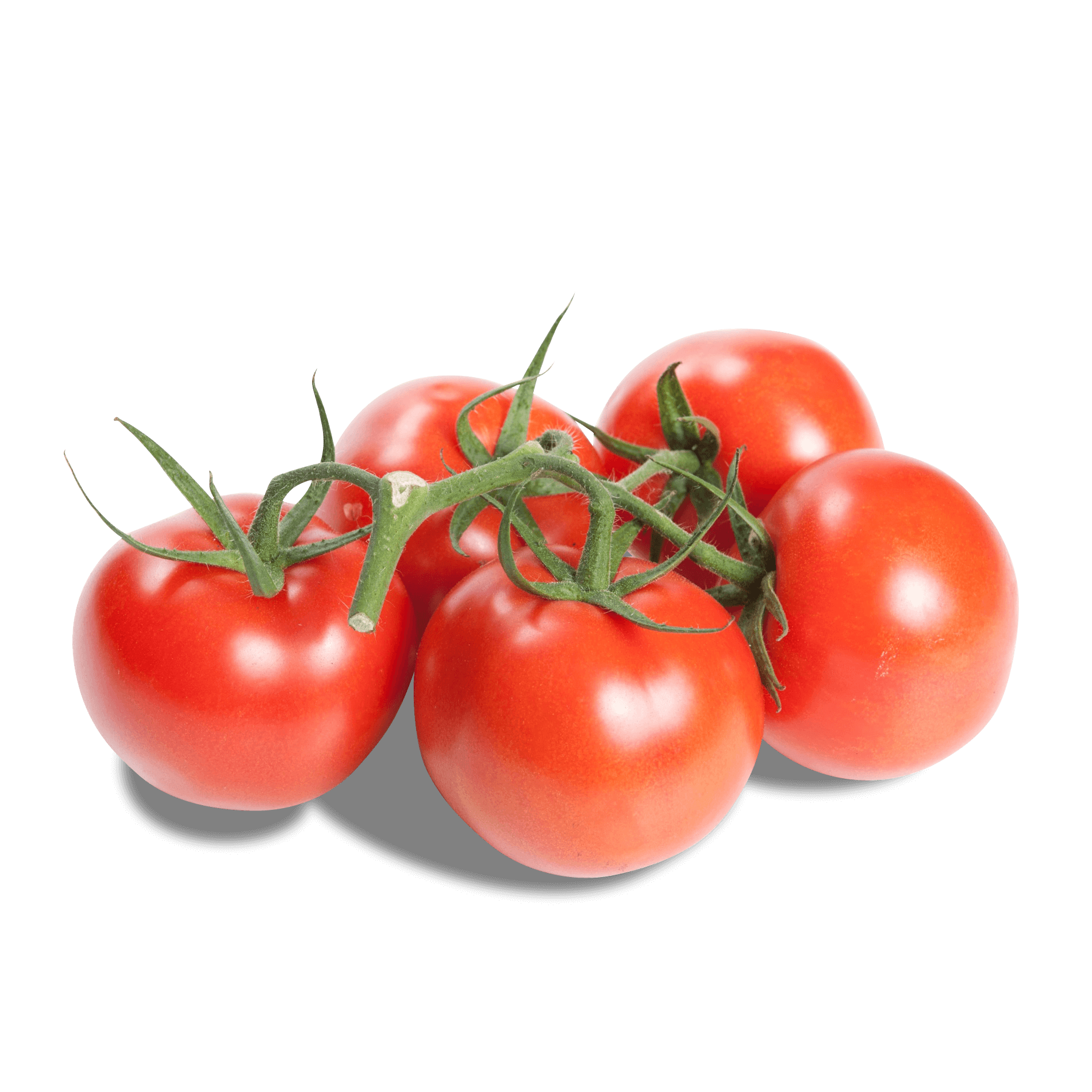 Tomaten 'am Strauch'