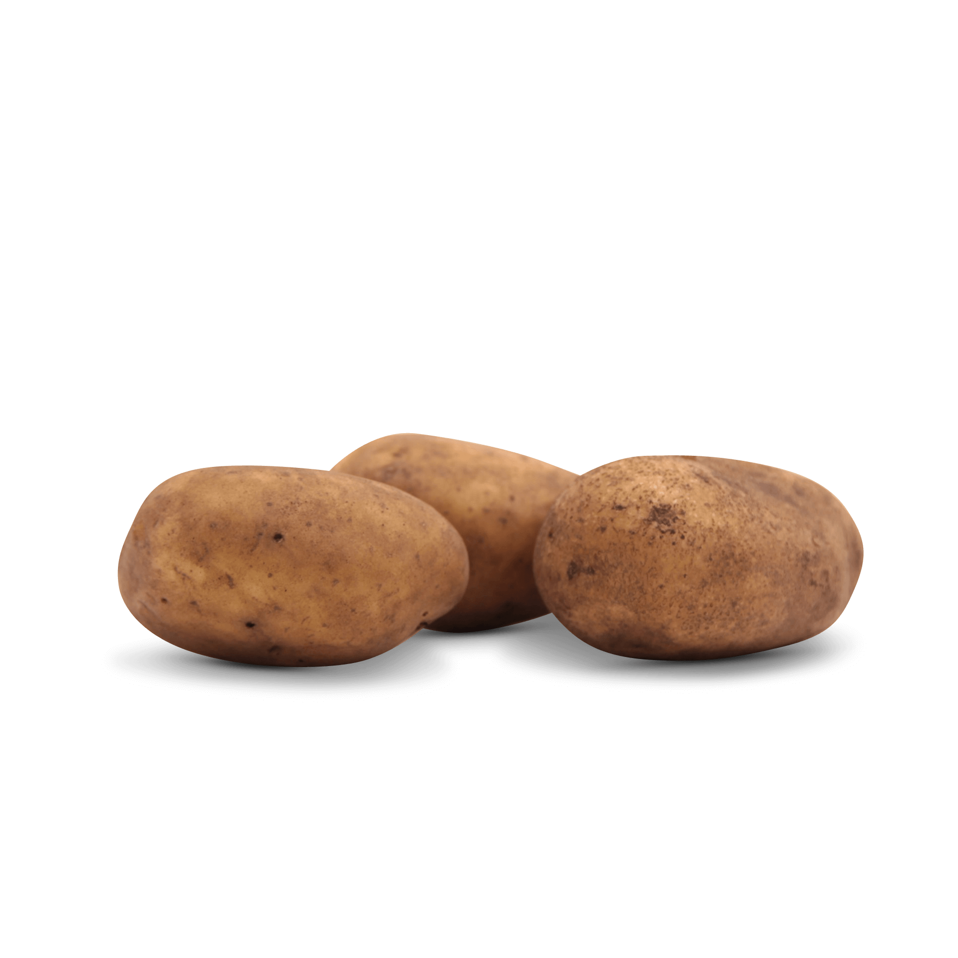 Kartoffel 'mittelgroß' (festkochend)