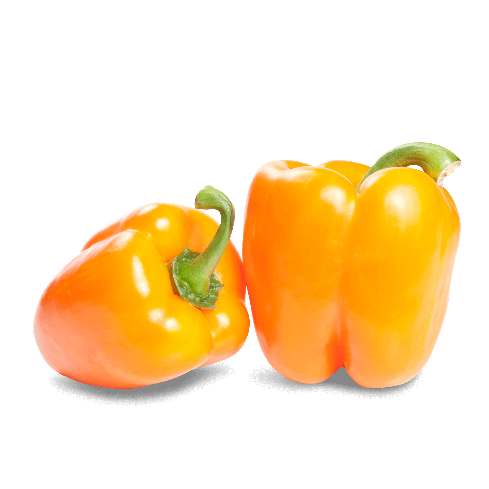 Paprika 'Orange'