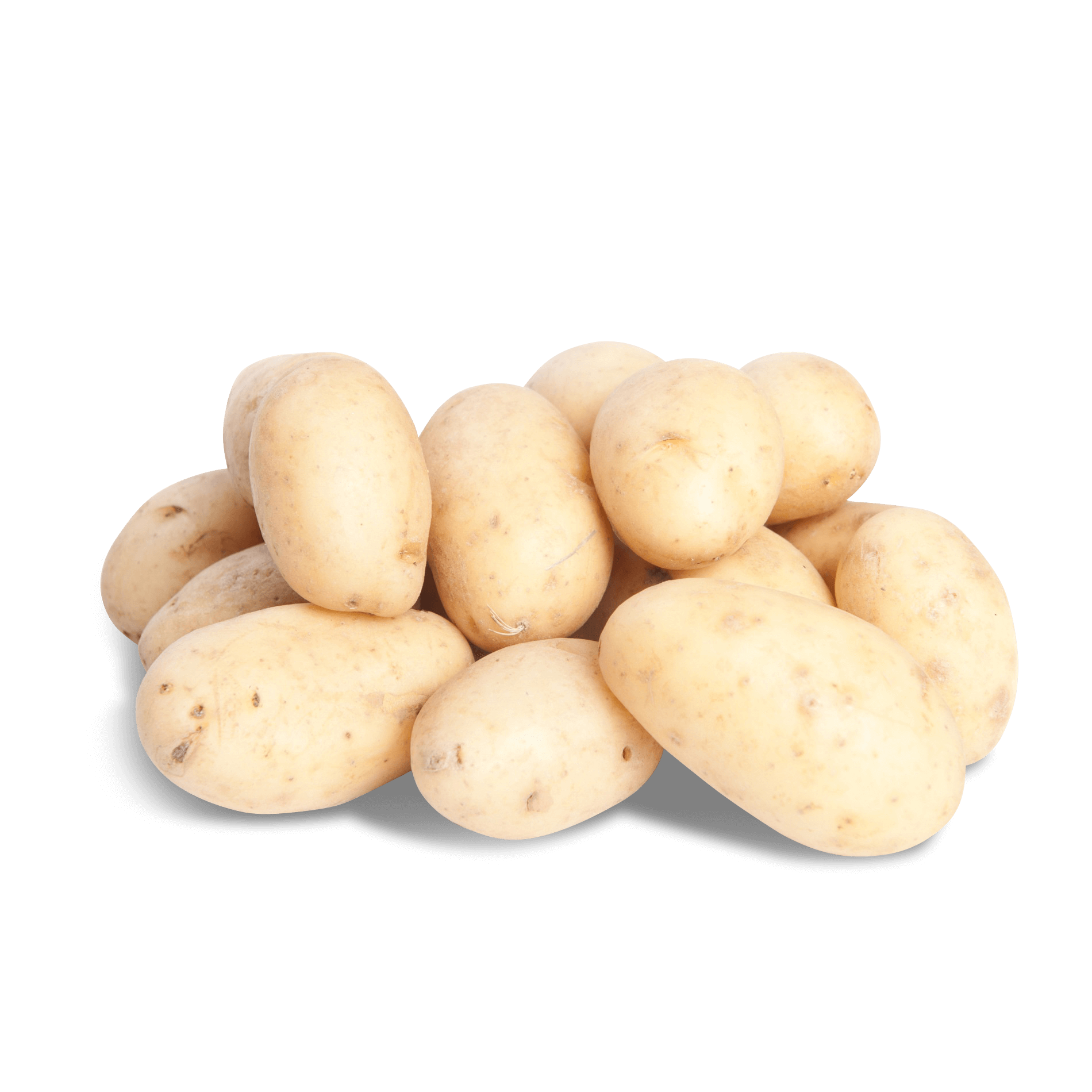 Kartoffel 'französische Drillinge' (festkochend)