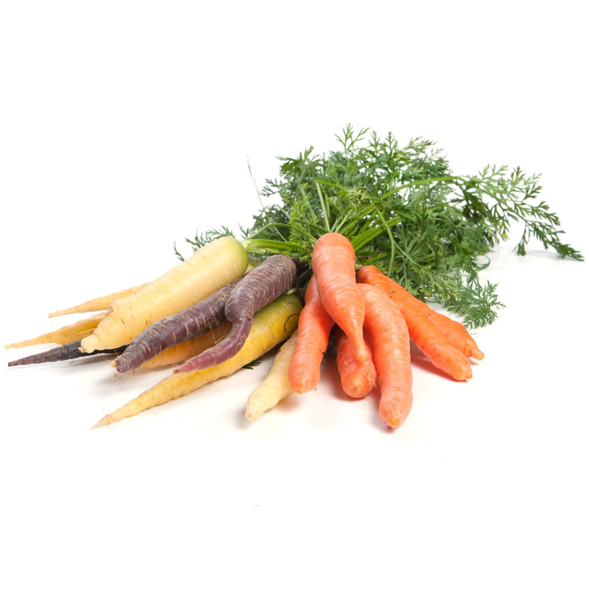 Karotten im Bund 'bunt' 