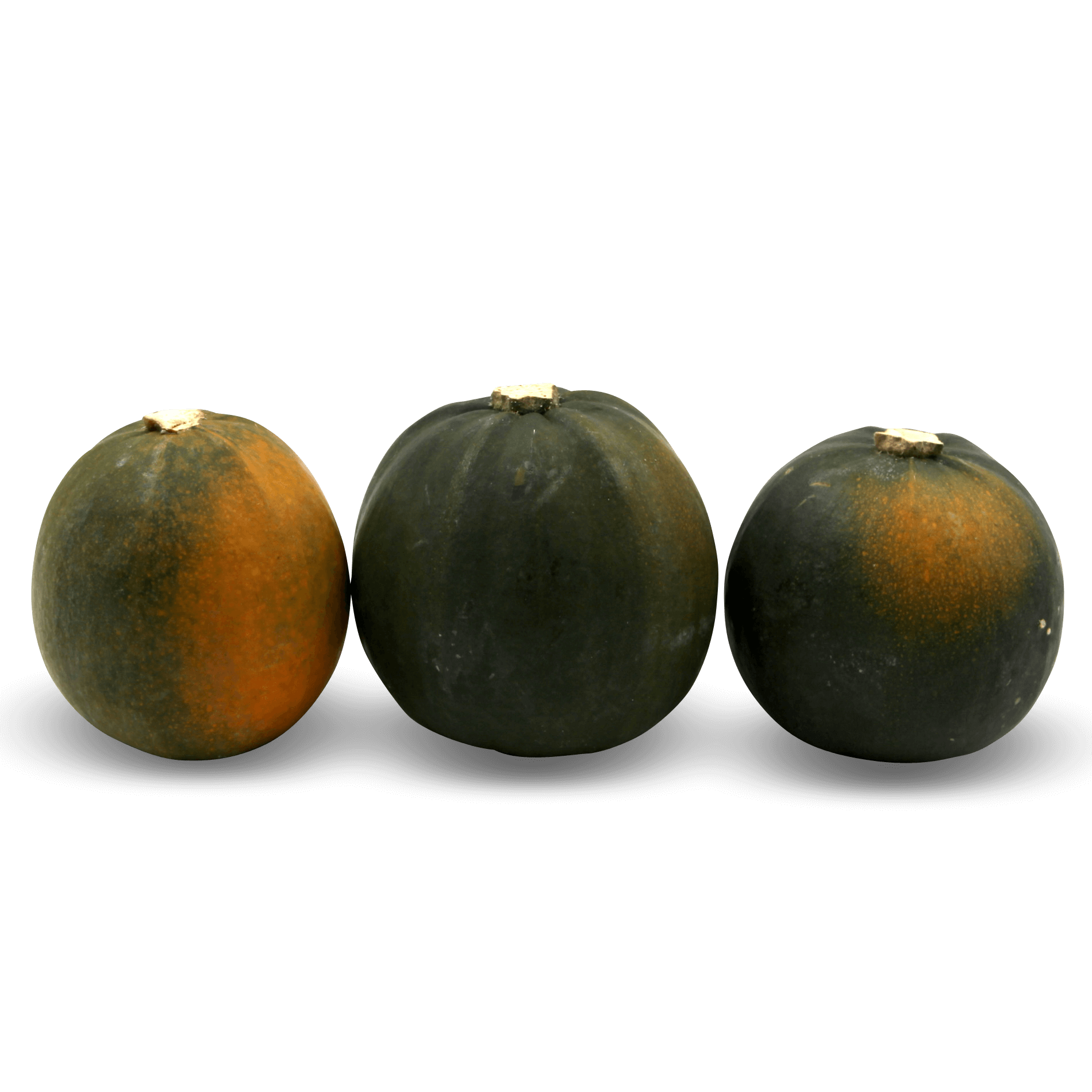 Kürbis 'Little Gem'