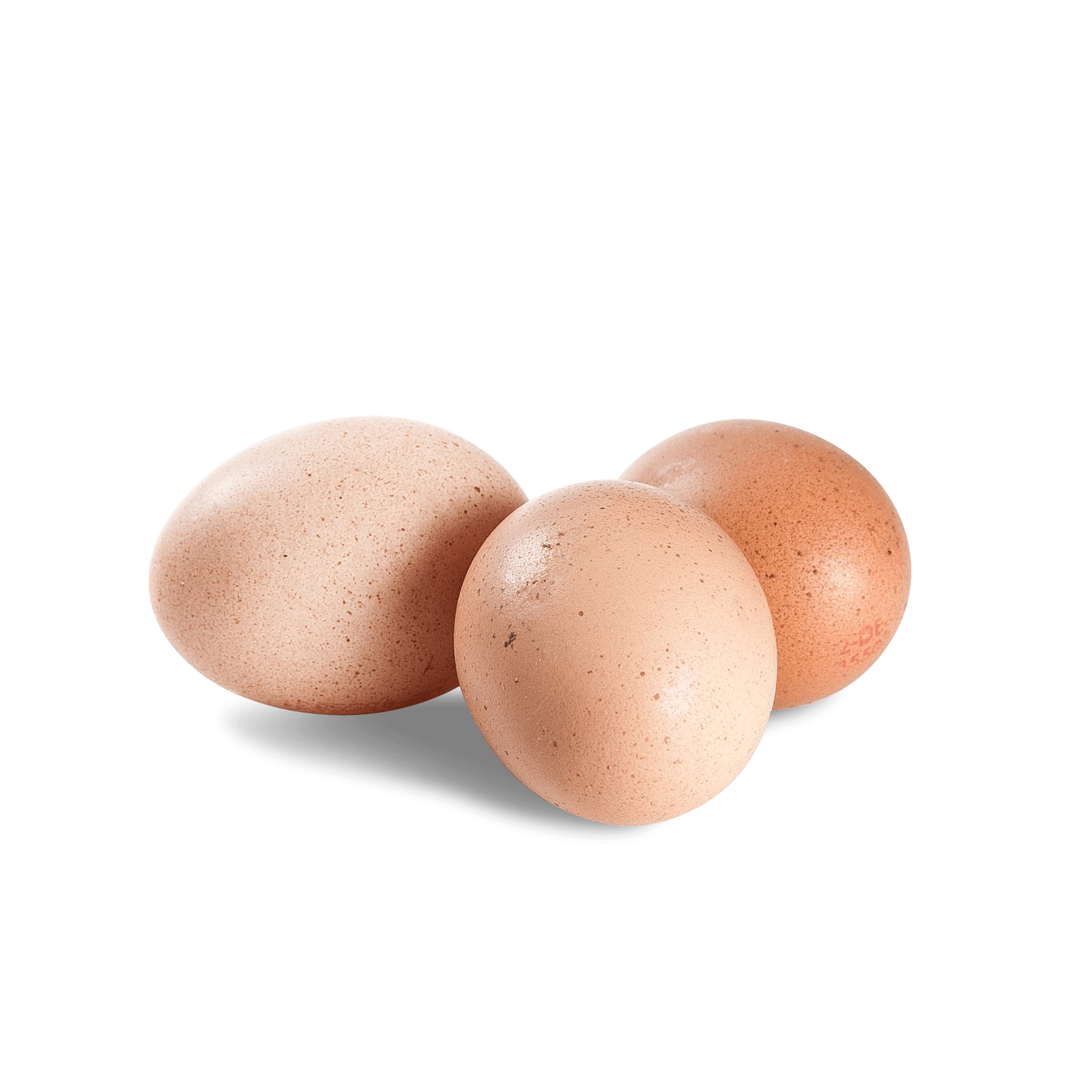 Braune Eier aus Freilandhaltung