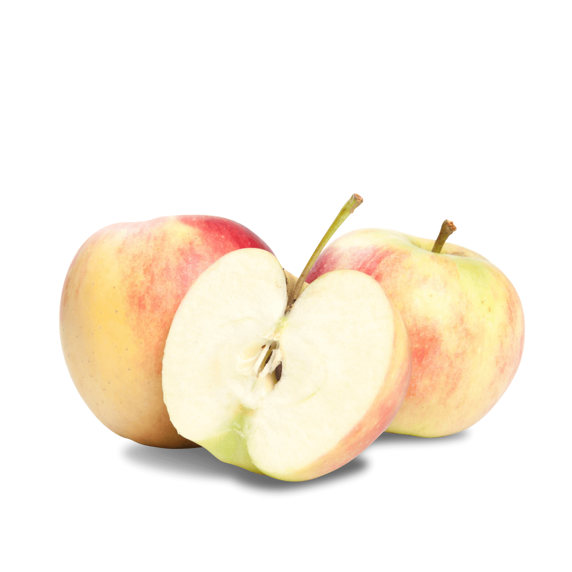 Apfel 'Elstar'