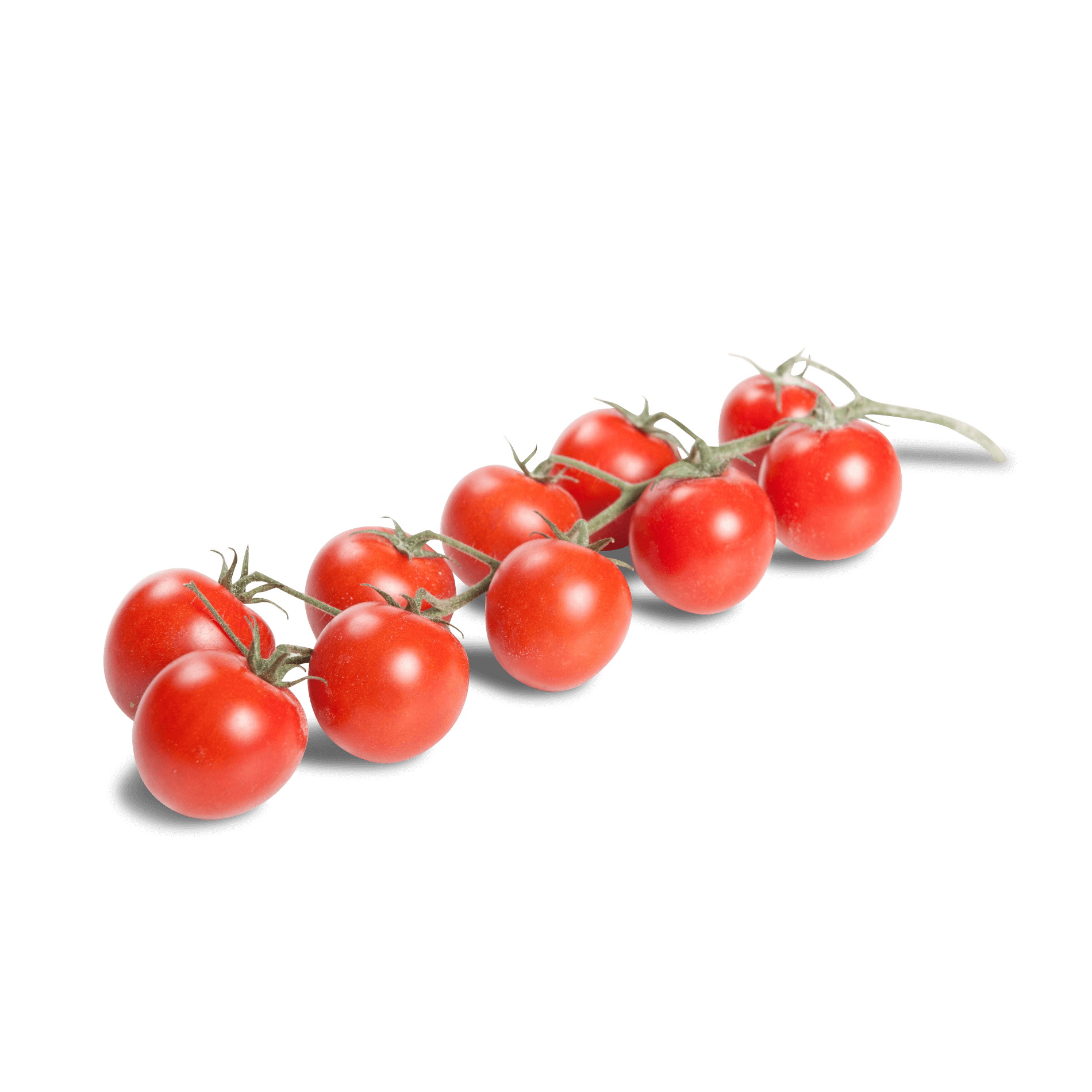 Tomaten 'Cherry am Strauch'
