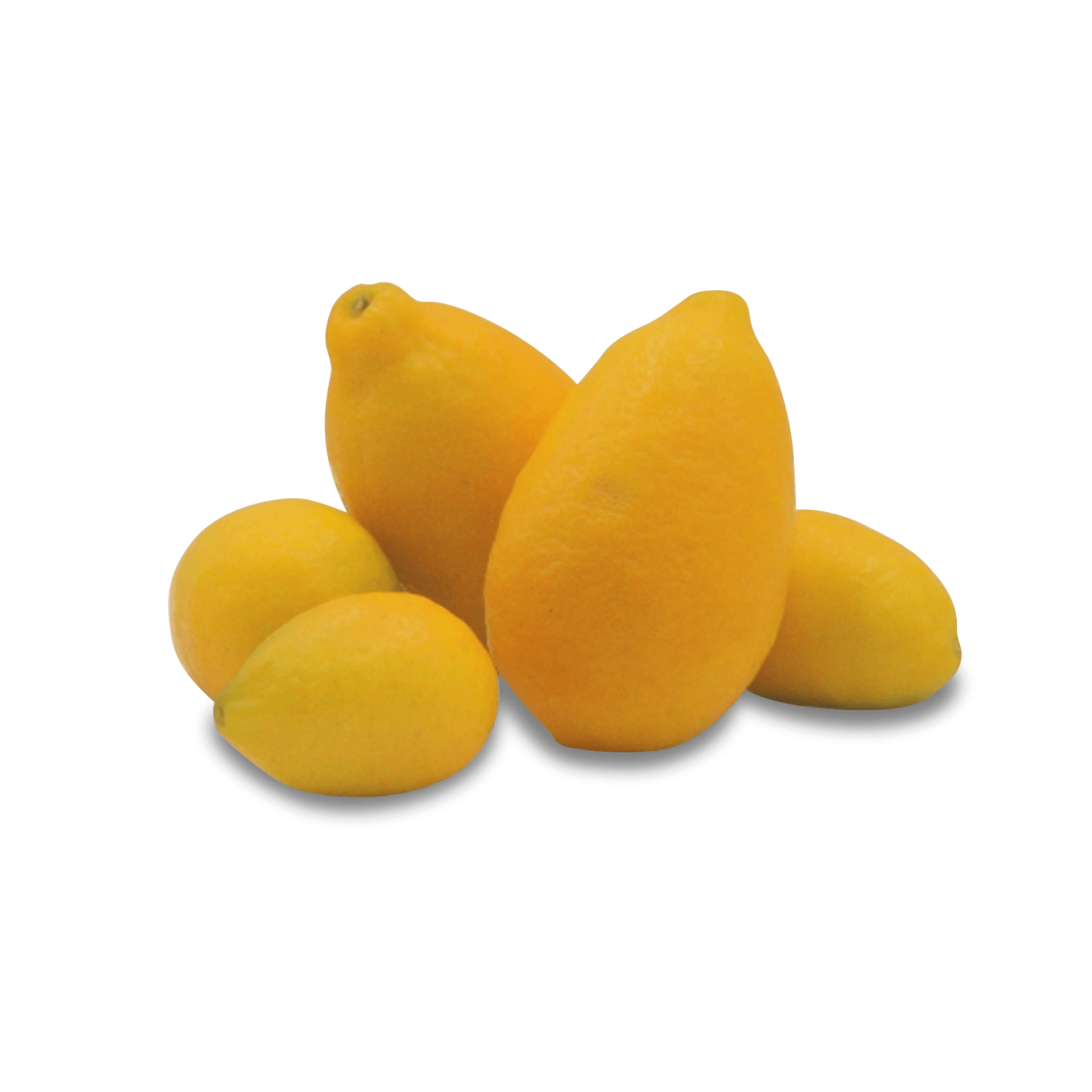 Snack-Zitronen