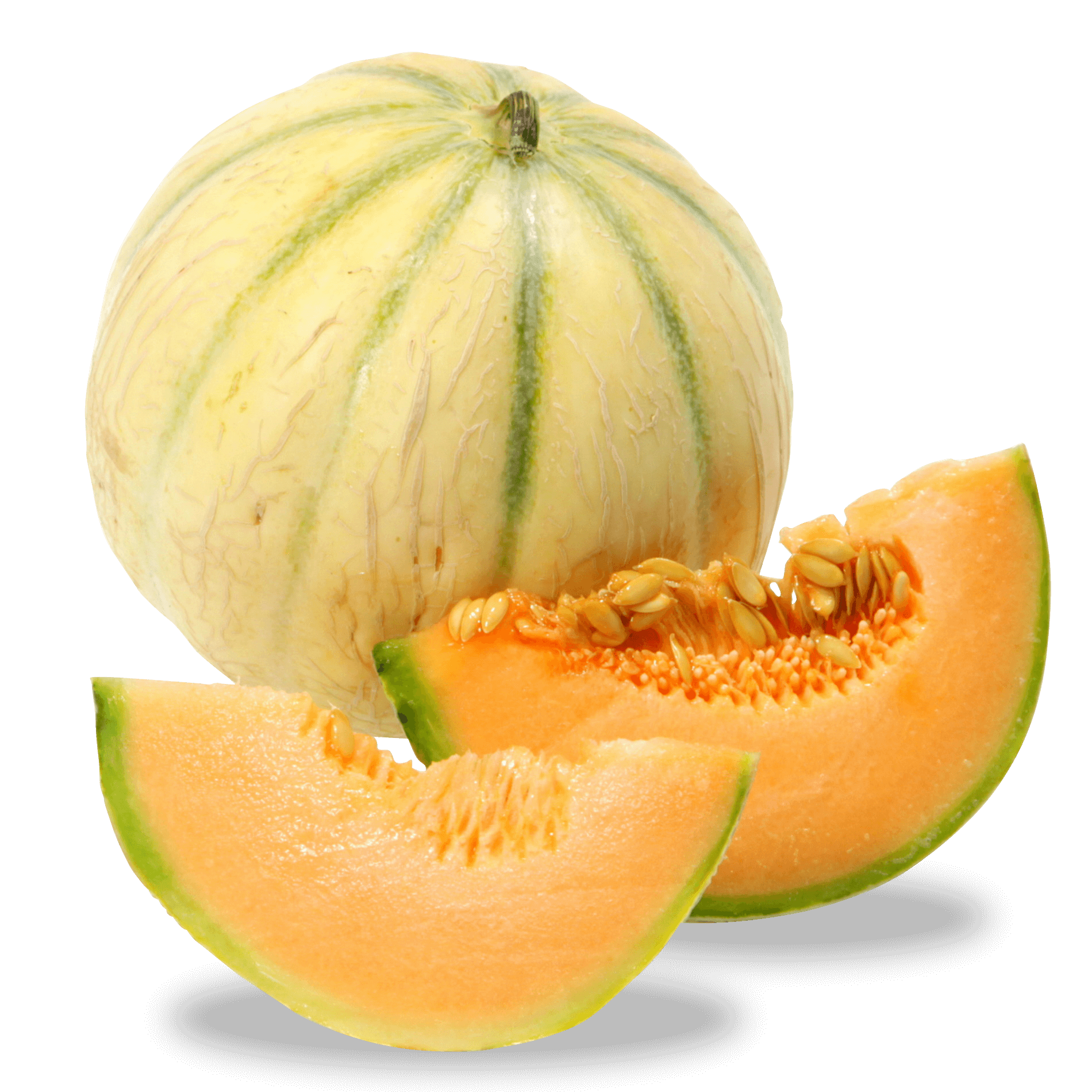 Melone 'Charantais'