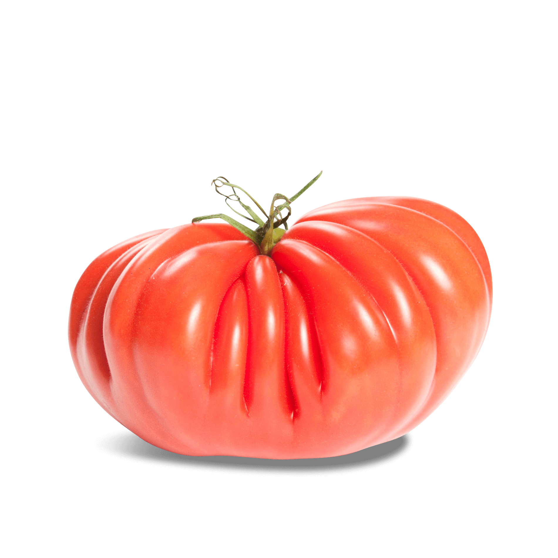 Tomaten 'Ochsenherzen'