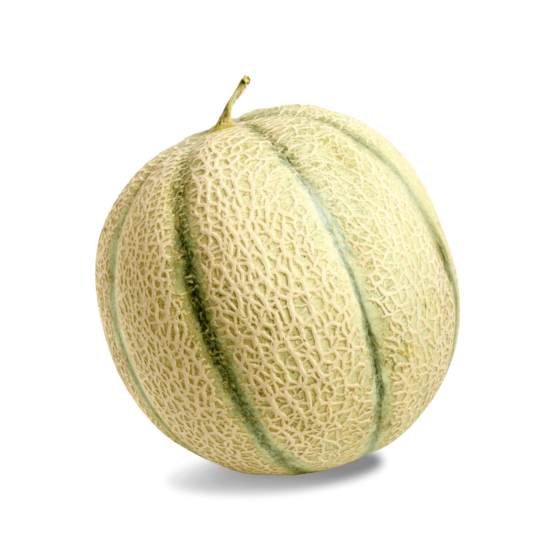 Melone 'Cantaloupe'
