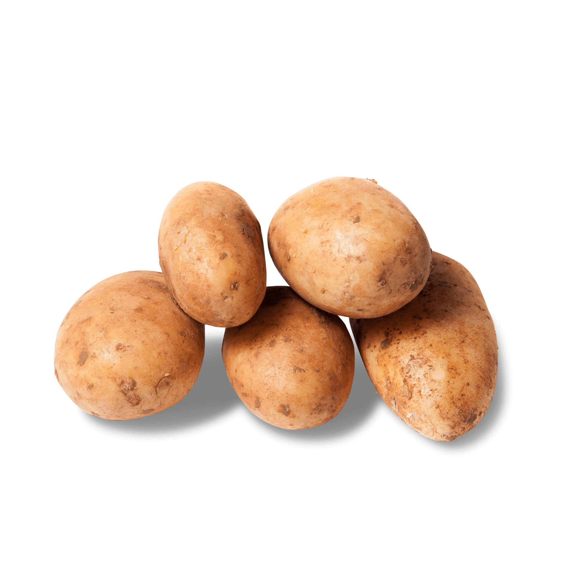Kartoffel 'Galatina' (festkochend)