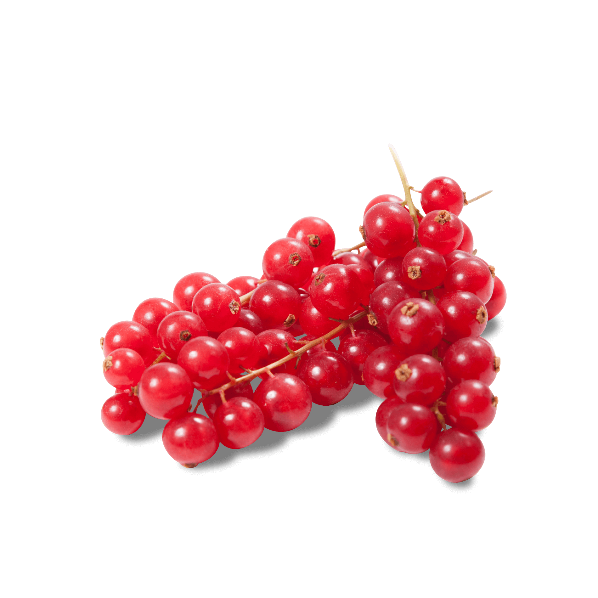 Johannisbeeren 'rot'