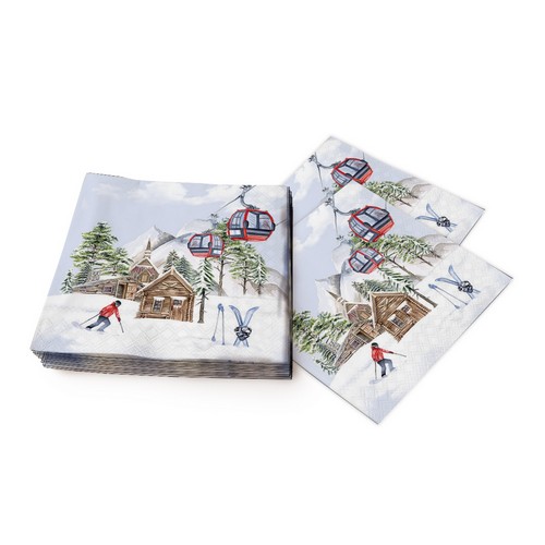 Lot De 20 Grandes Serviettes Avec Inscription En Allemand - 165 X 165