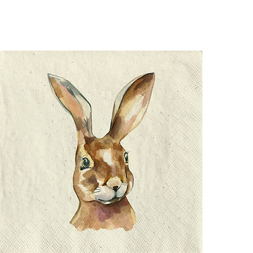 20 kleine Cocktailservietten aus Recycling-Papier Gras Mr. Rabbit - Herr Hase 25x25cm
