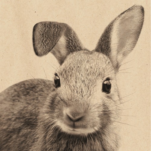 20 Servietten aus Recycling-Papier Karl Kaninchen - Hase natürlich 33x33cm