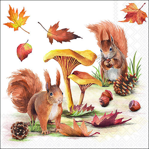 20 Servietten Squirrel go Nuts - Eichhörnchen  an Zapfen und Pilze 33x33cm