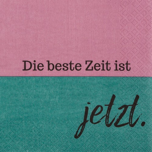 20 Servietten Die beste Zeit - Beste Zeit ist jetzt 33x33cm