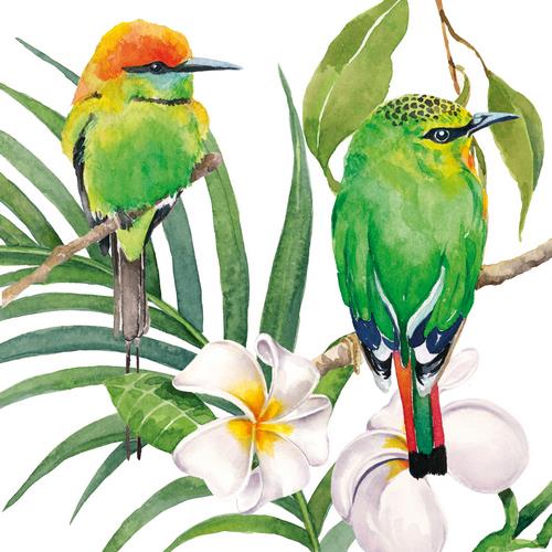 20 Servietten Bali - Exotische grüne Vögel 33x33cm